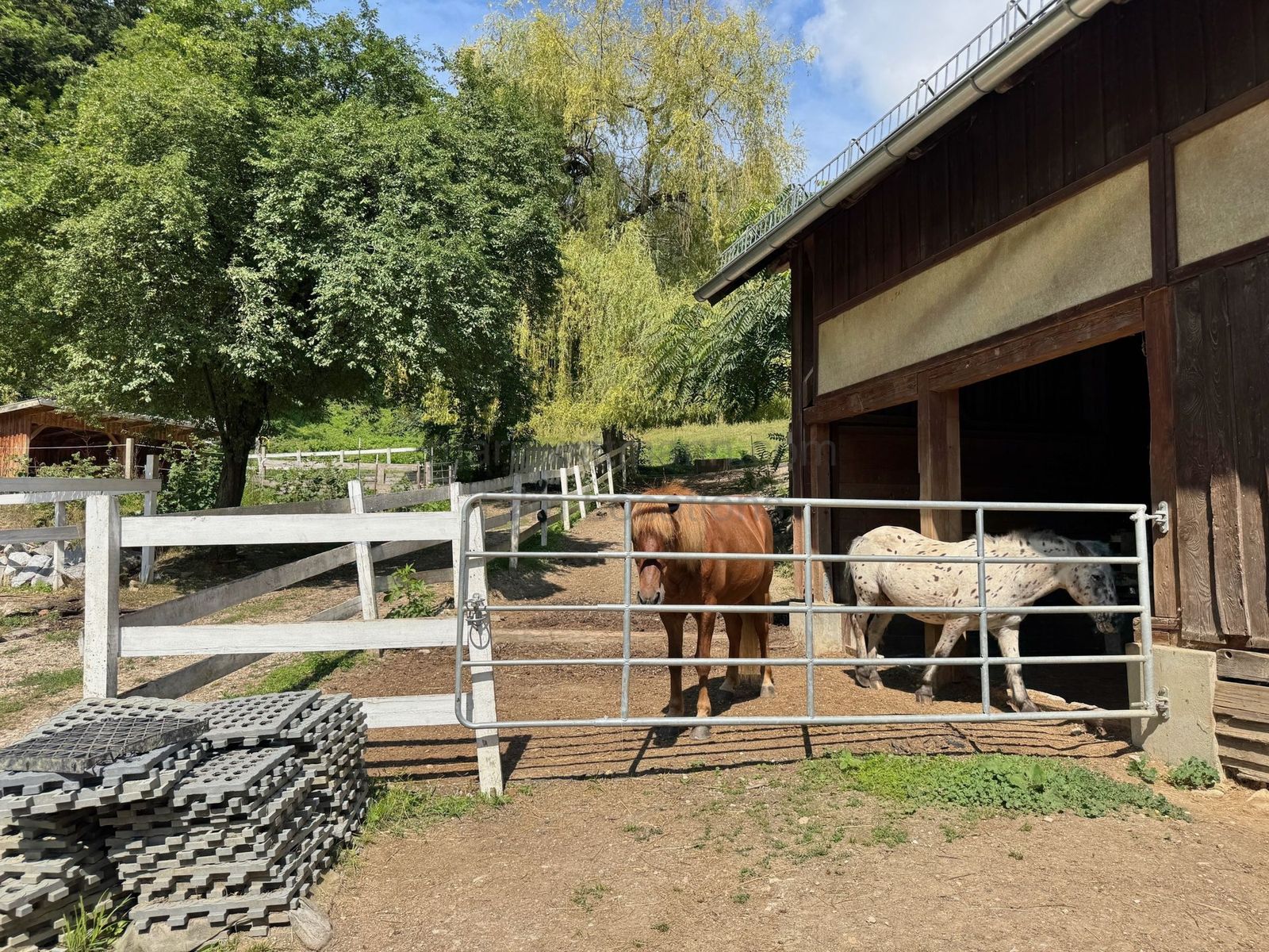 Location 502 - Photo 9