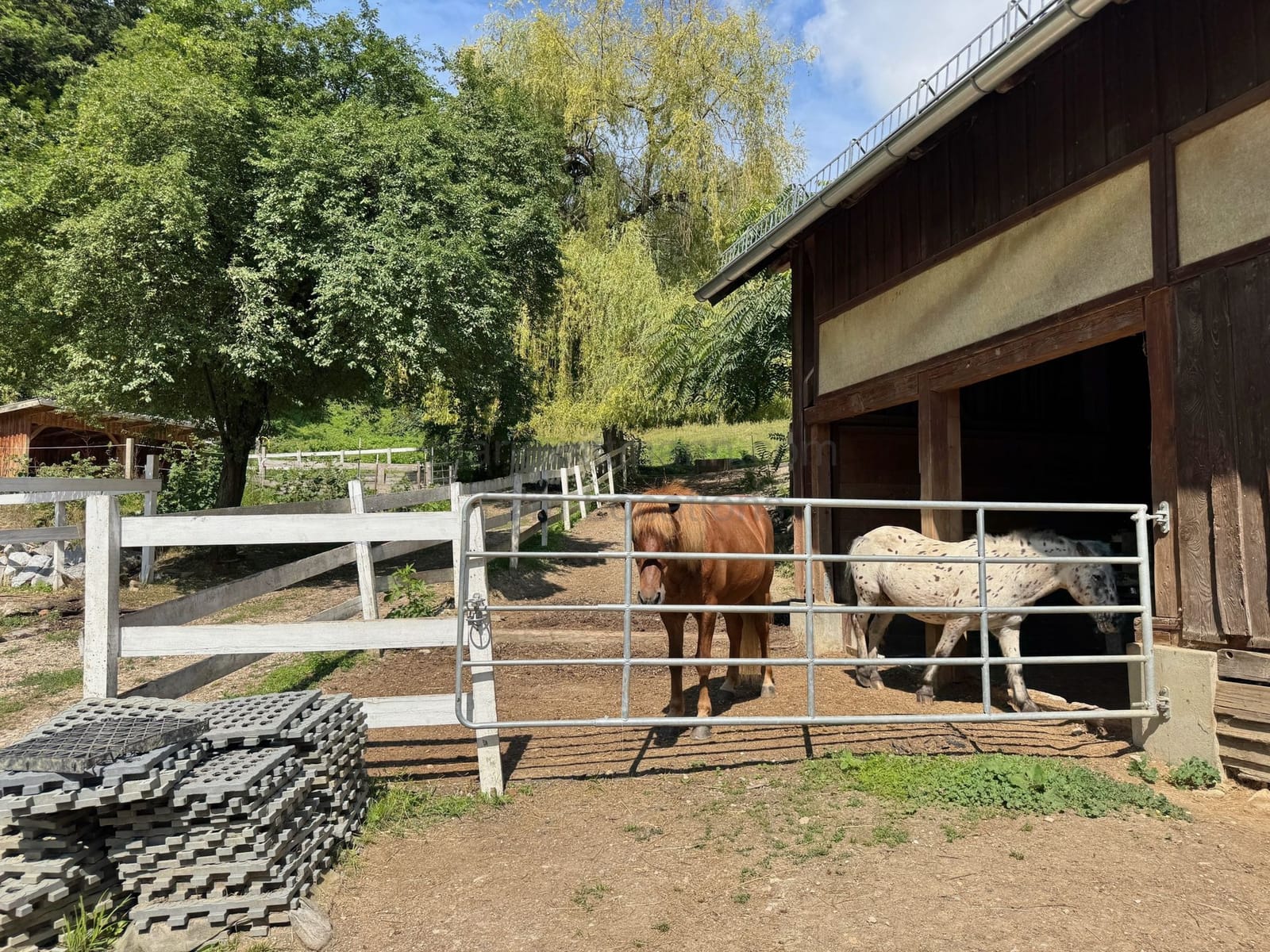 Location 502 - Photo 9