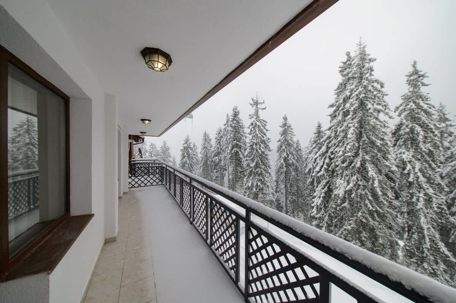 Colors of Nature in Stylish Flat in Pamporovo - Photo 3