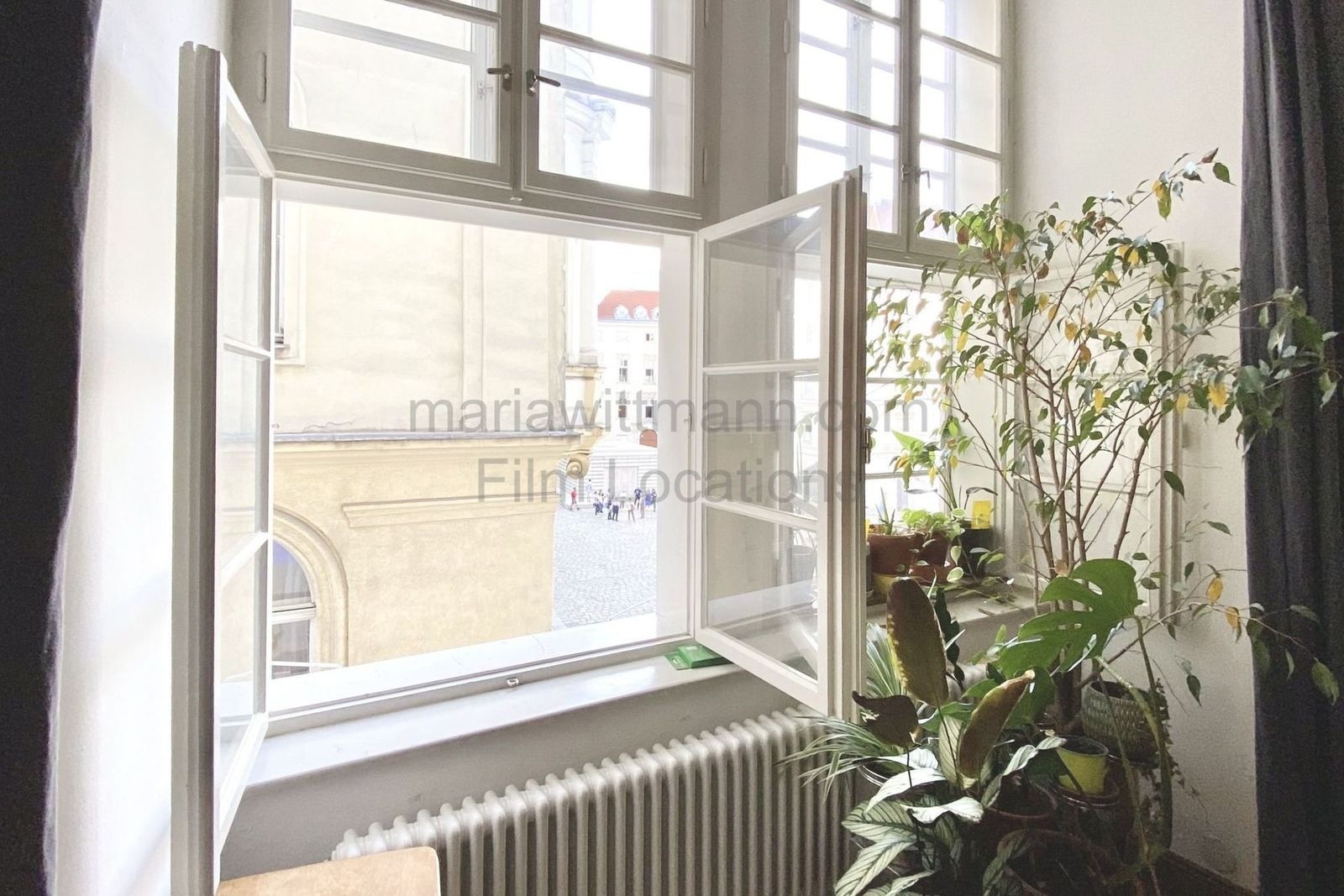 Historic Apartment with Tall Windows and High Ceilings - Photo 5