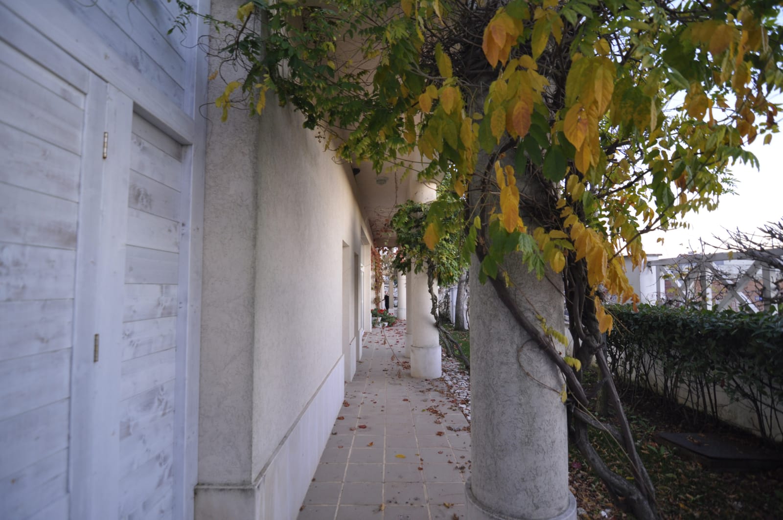 The Flower House - Photo 16