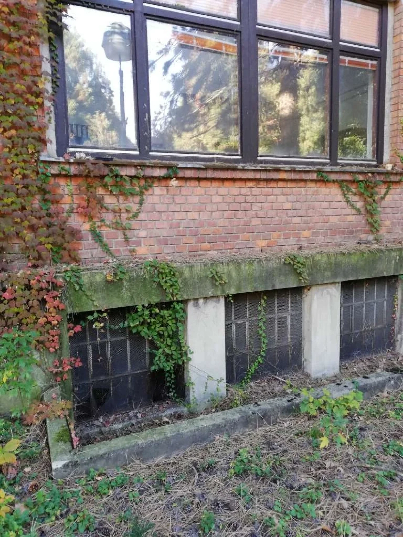 Beautiful Abandoned Factory - Photo 7