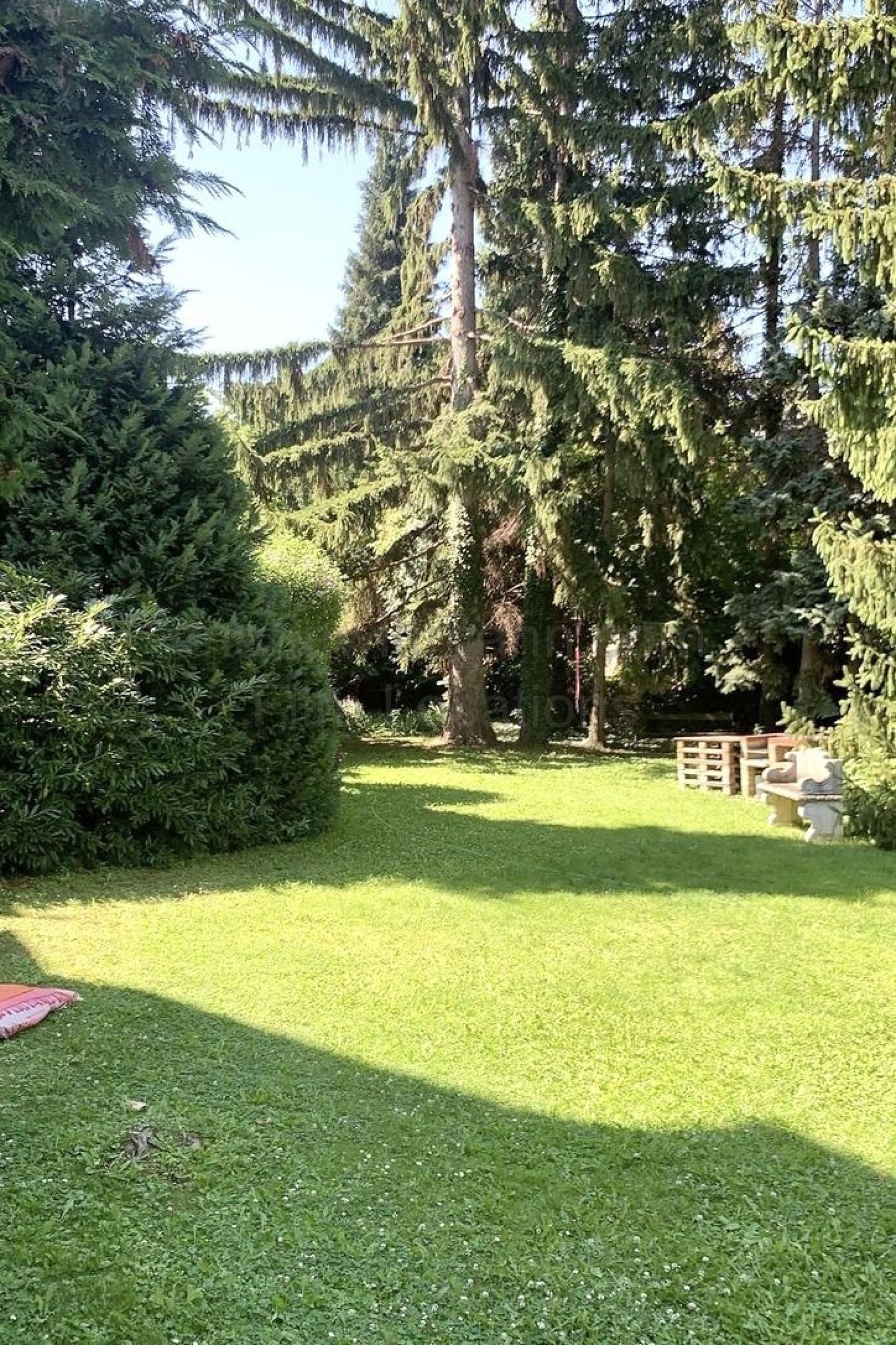 Location 240 - Photo 6