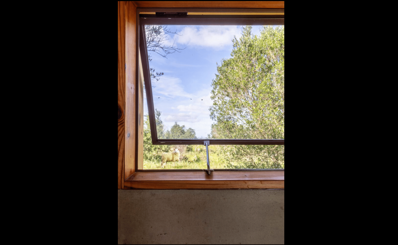 Cargo House - Photo 19