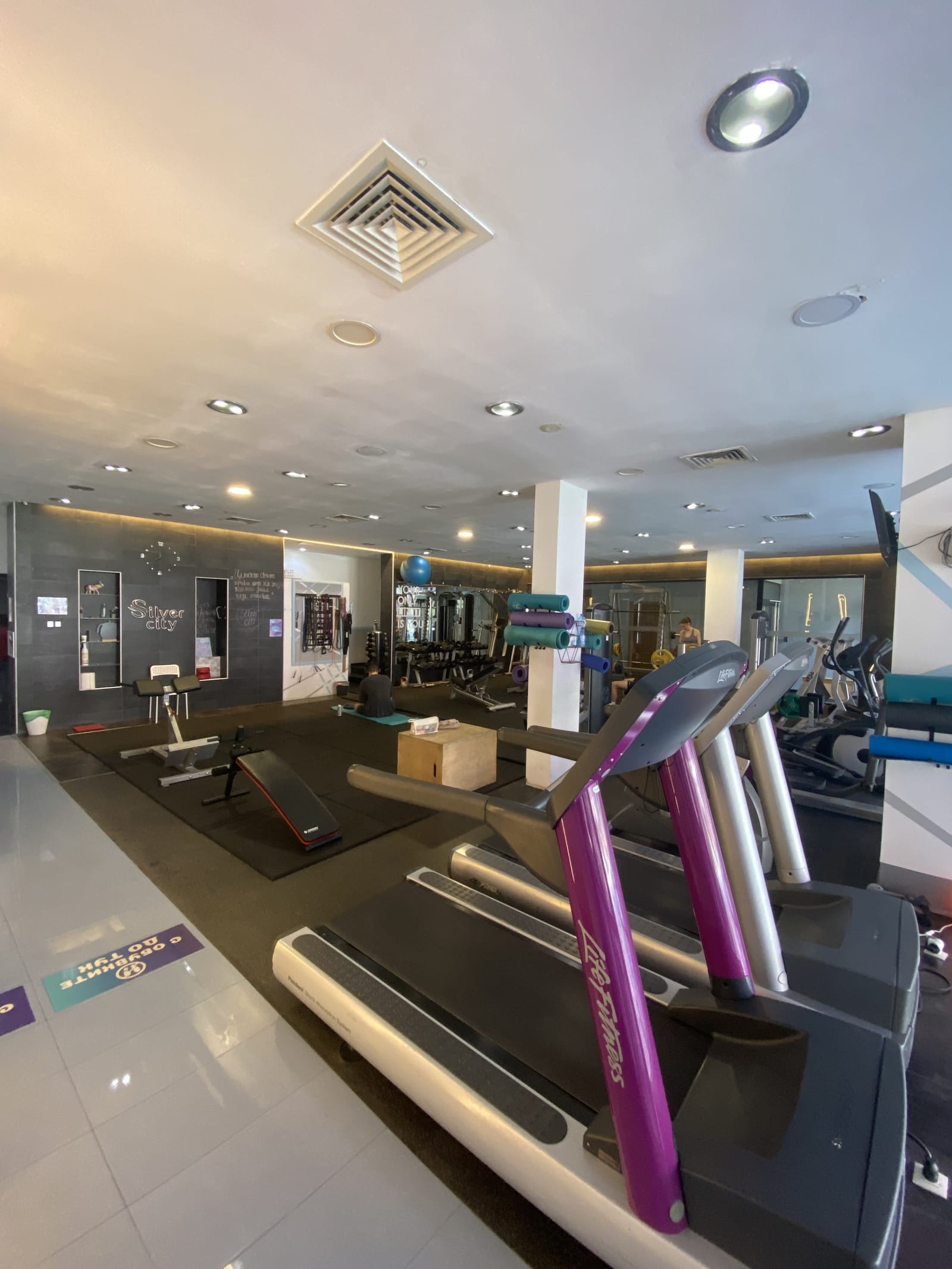Modern Fitness &amp; Wellness Center - Photo 8