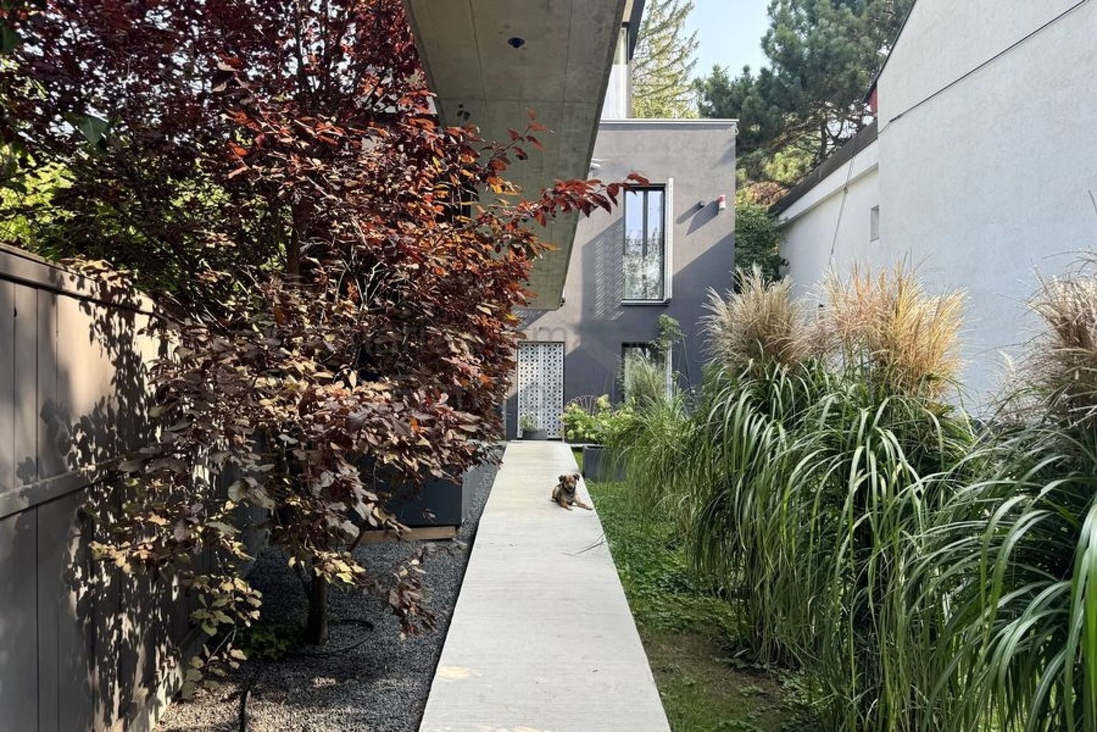 Location 271 - Photo 32