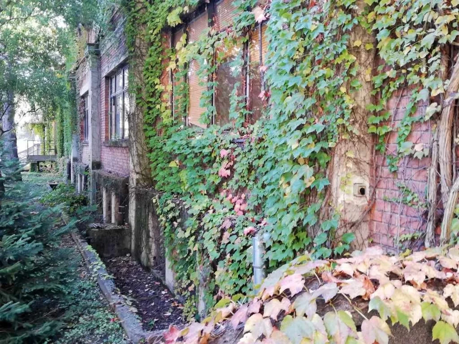 Beautiful Abandoned Factory - Photo 4