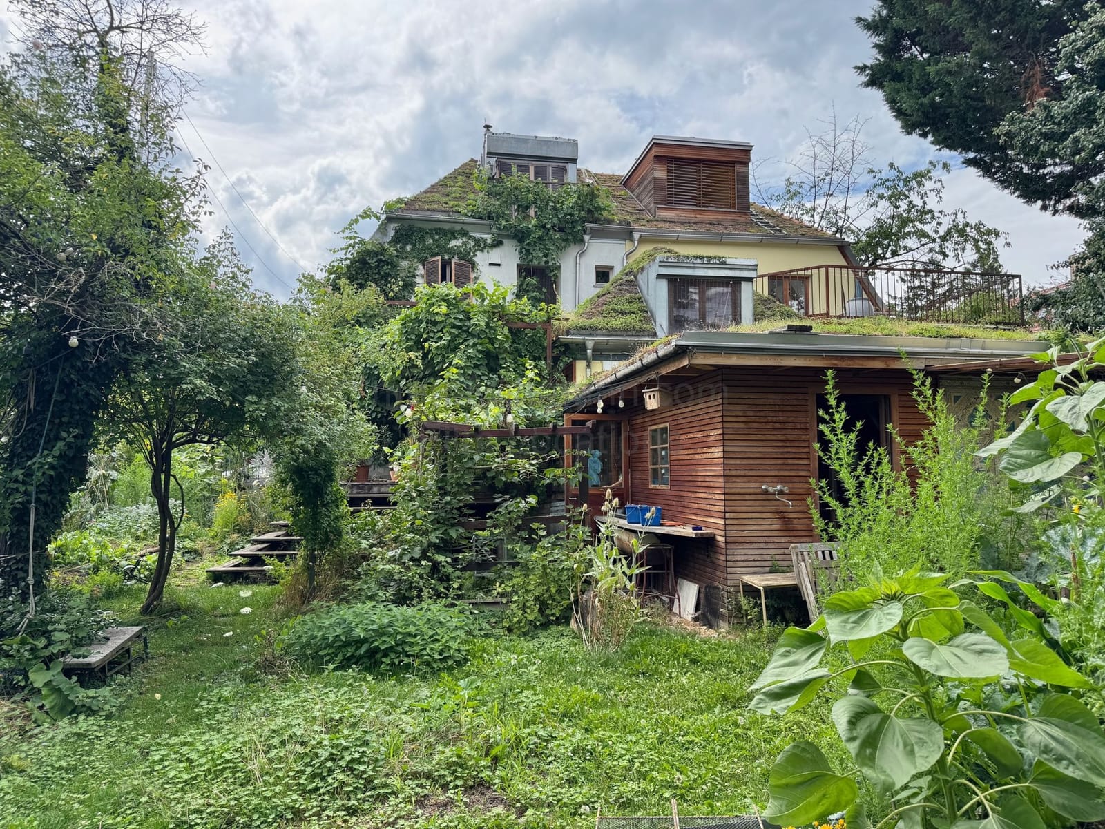 Location 494 - Cover Photo