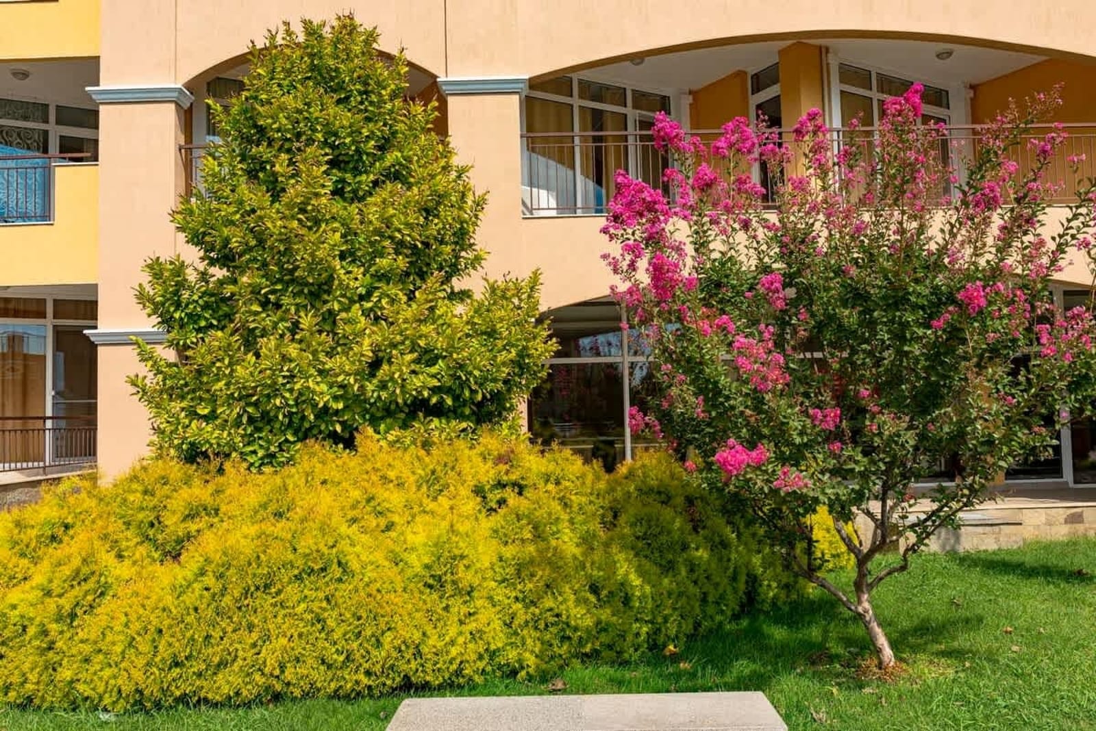 Cozy Aheloy  Deluxe studio, sea view - Photo 8