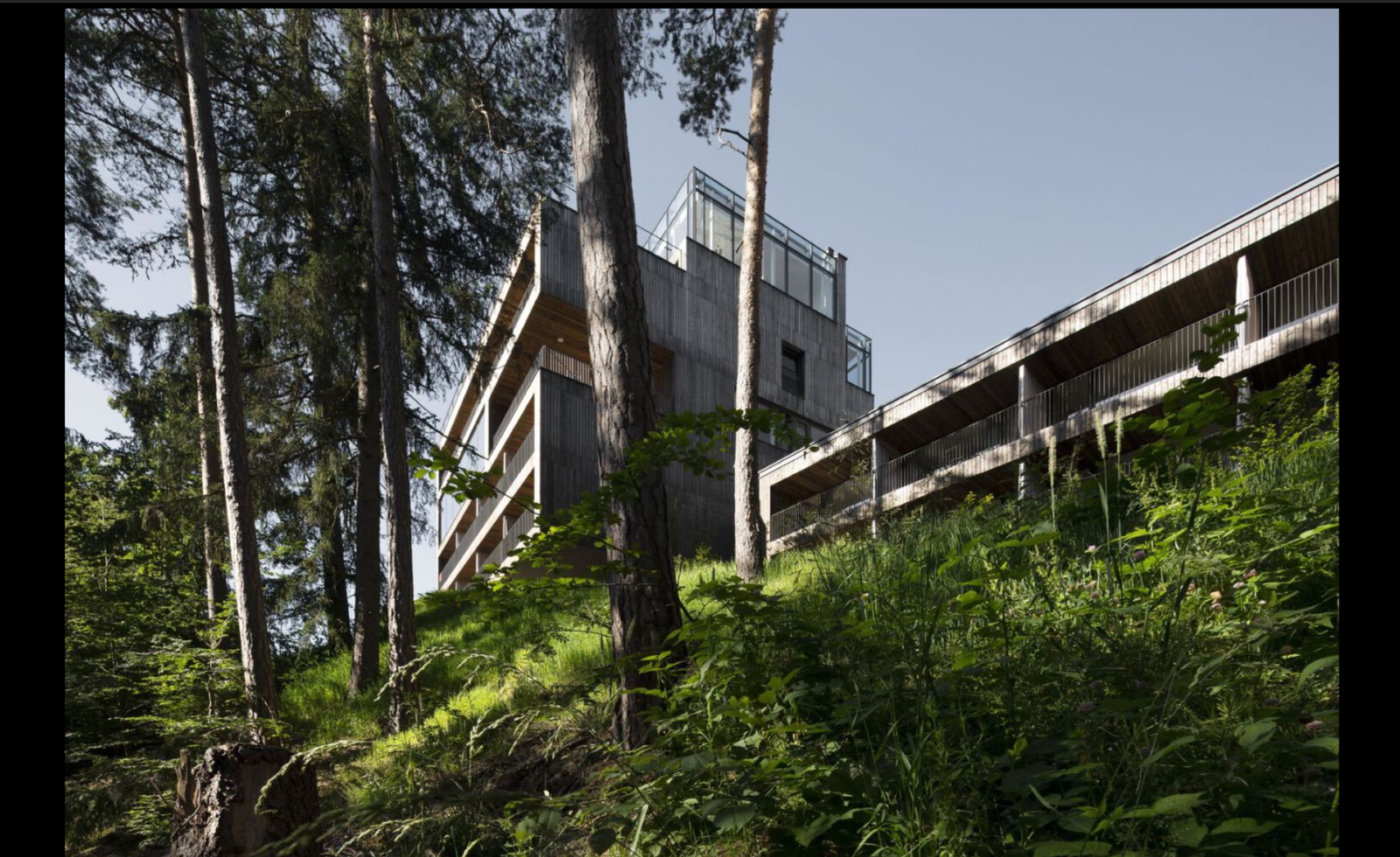 Hotel Saltus San - Photo 6