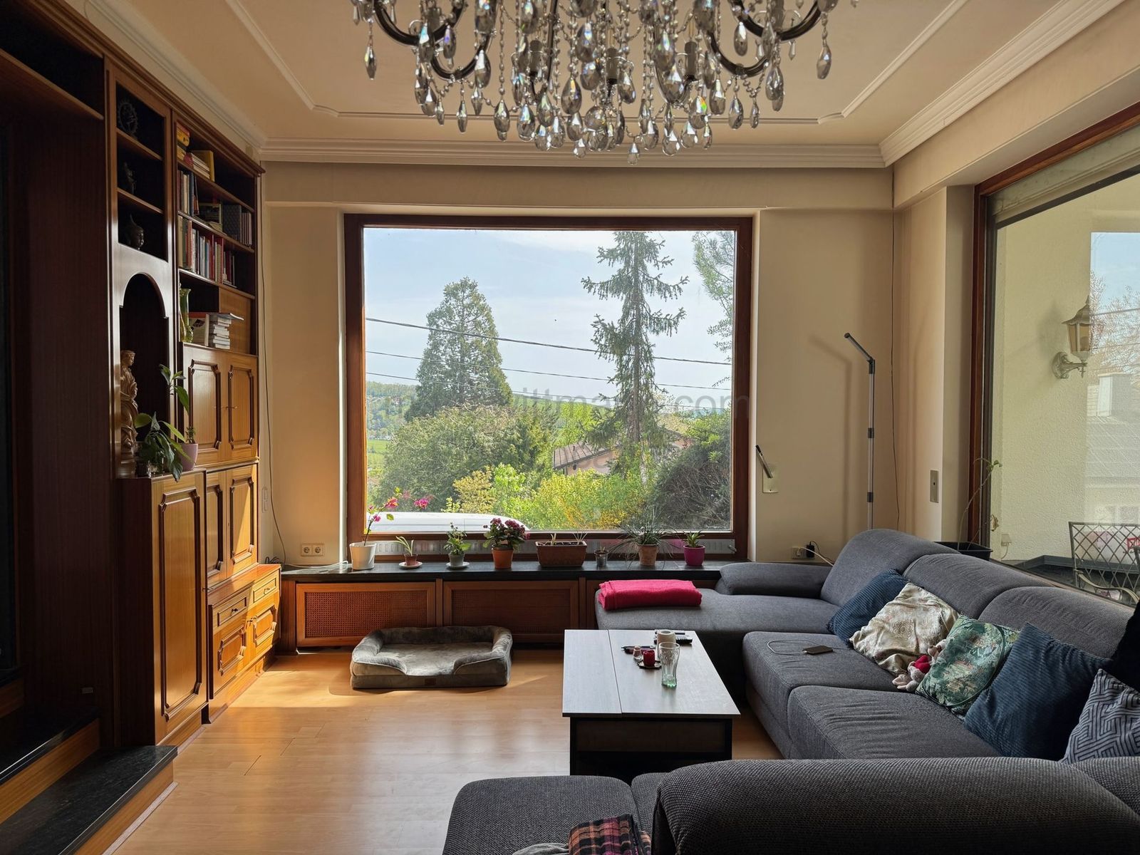 Location 488 - Photo 16