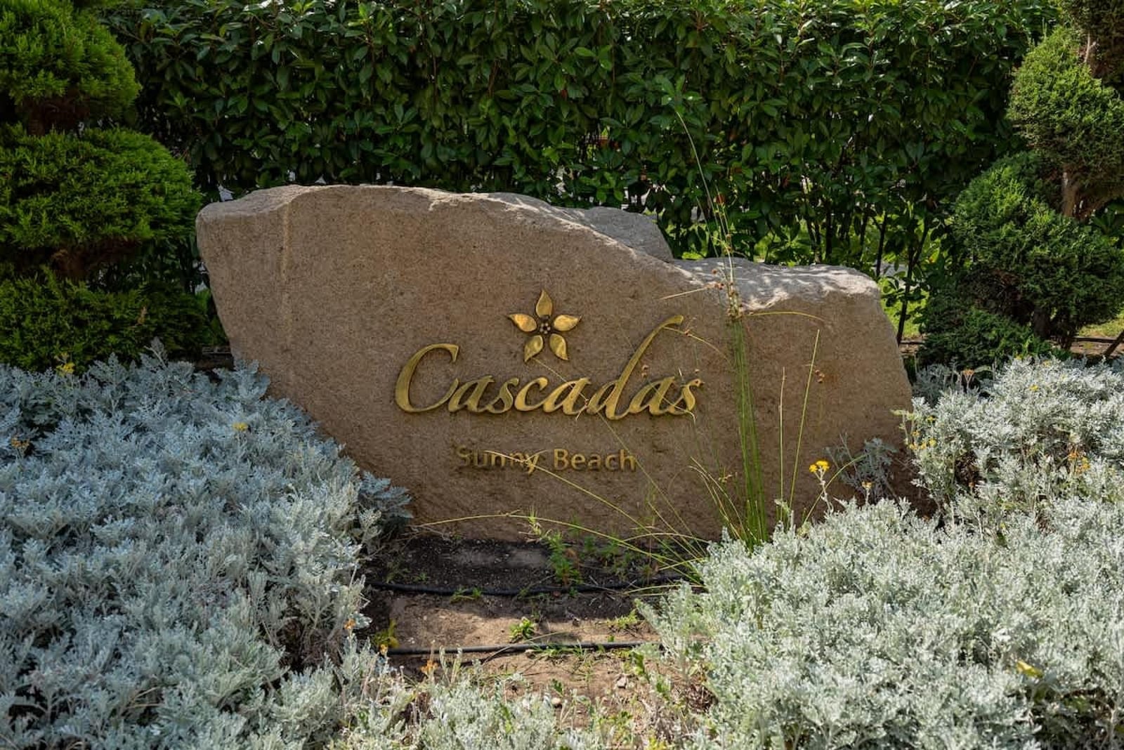 Cascadas - Cozy studio with balcony - Photo 11