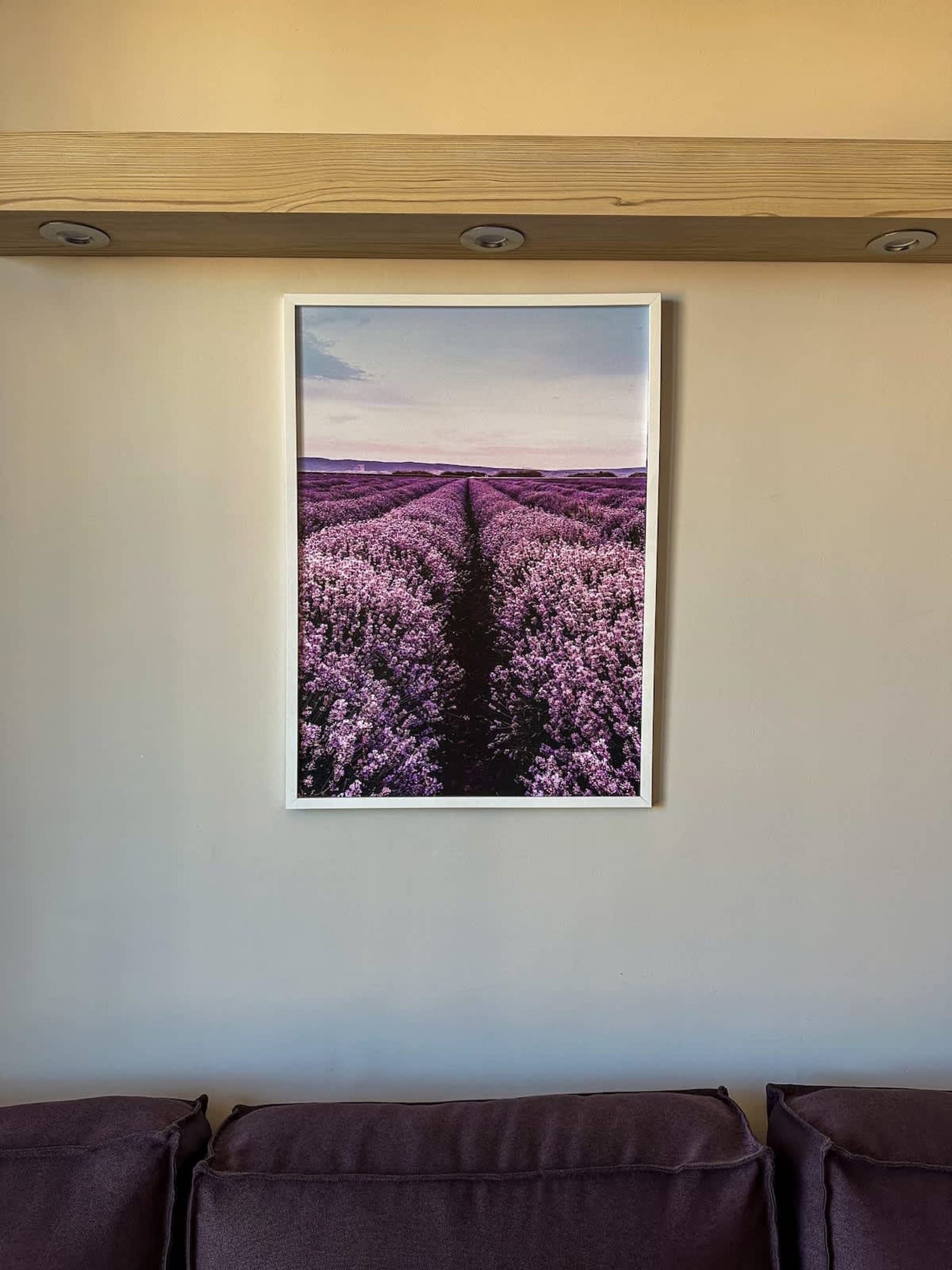 Quiet &amp; Comfortable Urban Retreat - Photo 7