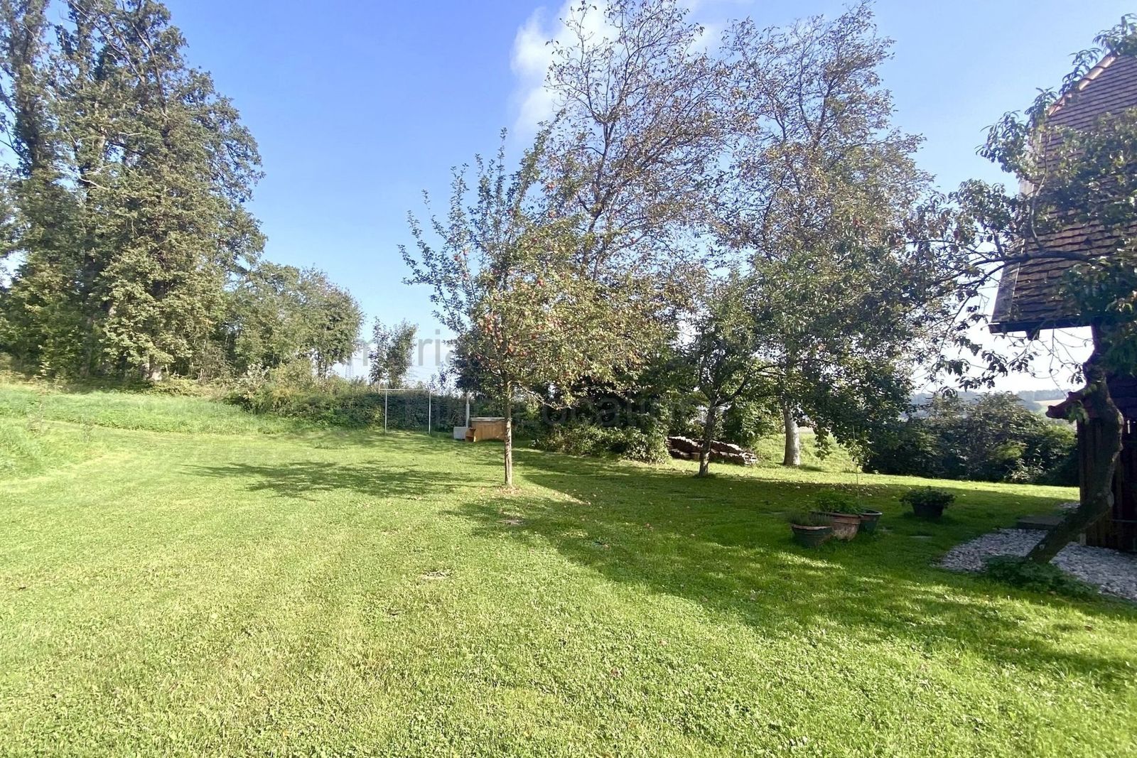 Location 255 - Photo 7