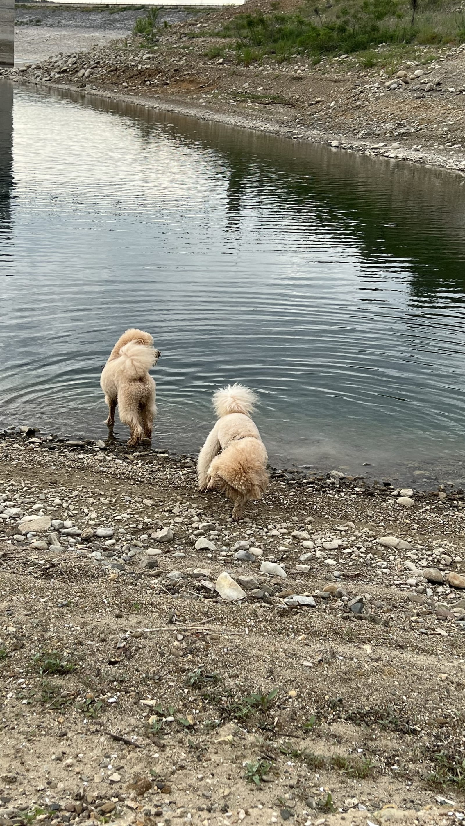 The Happy Caravans - Photo 21