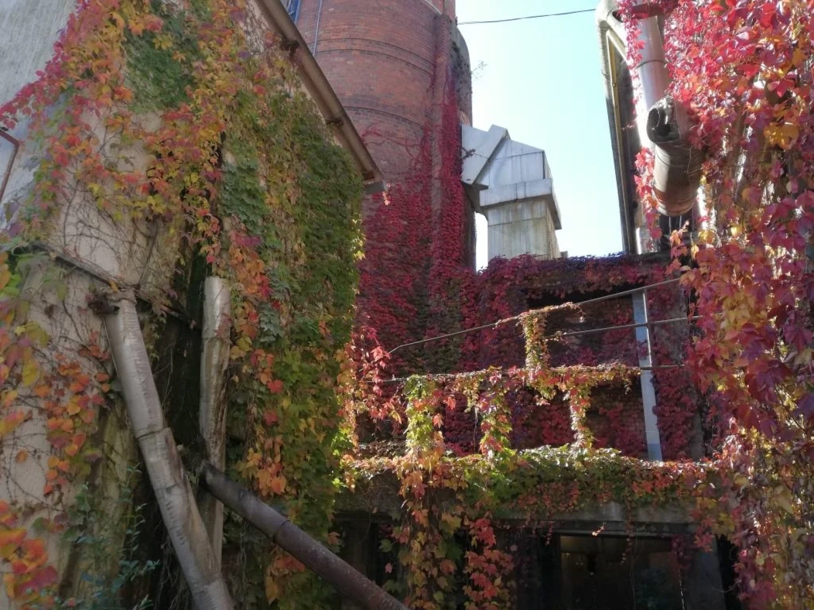 Beautiful Abandoned Factory - Cover Photo