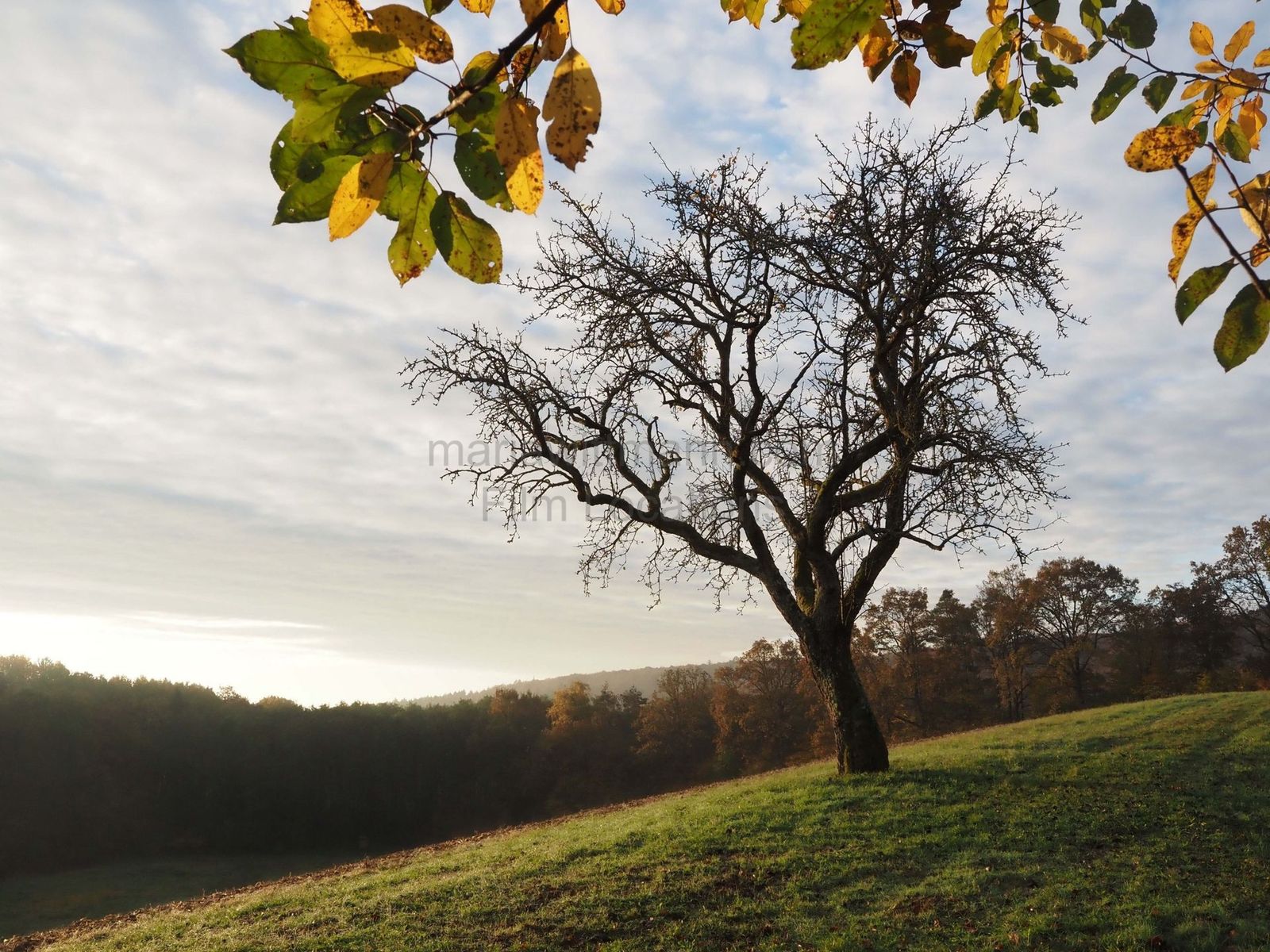 Location 293 - Photo 7