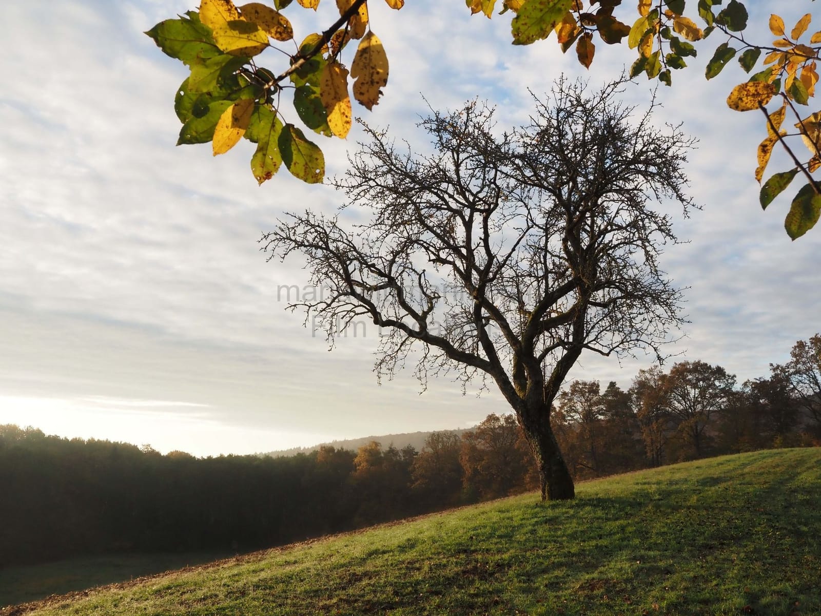 Location 293 - Photo 7