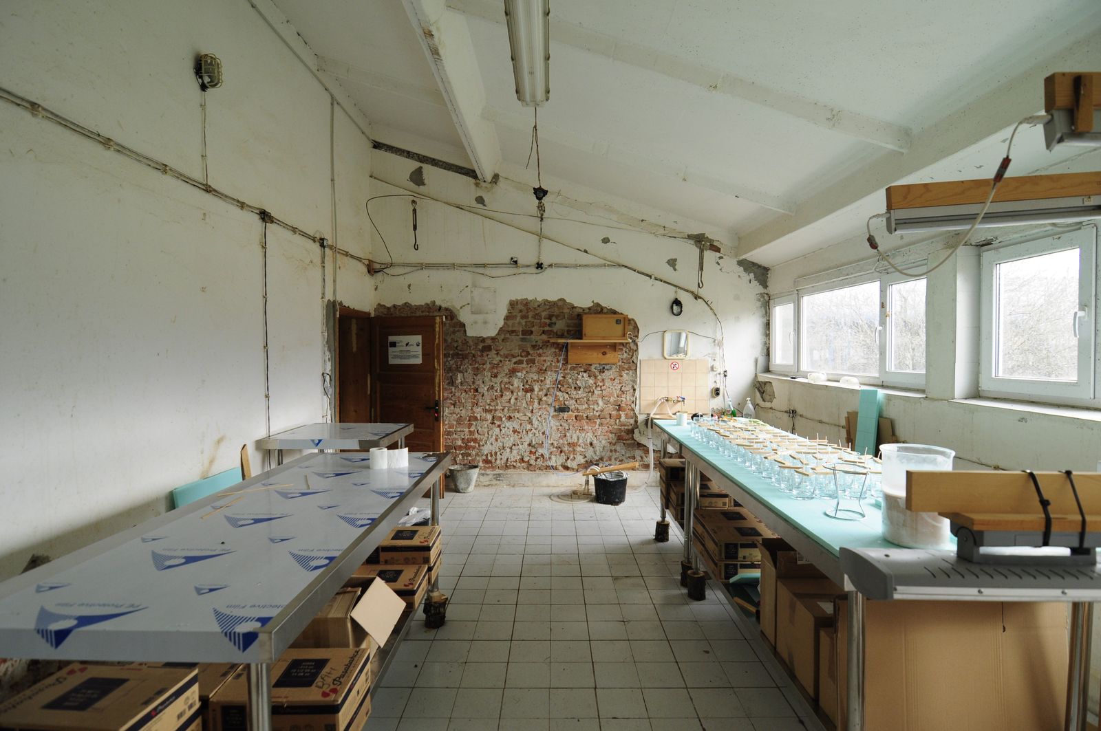 Industrial building - woodworking/carpentry shop, old cow barns - former collective farm from the socialist regime - Photo 38