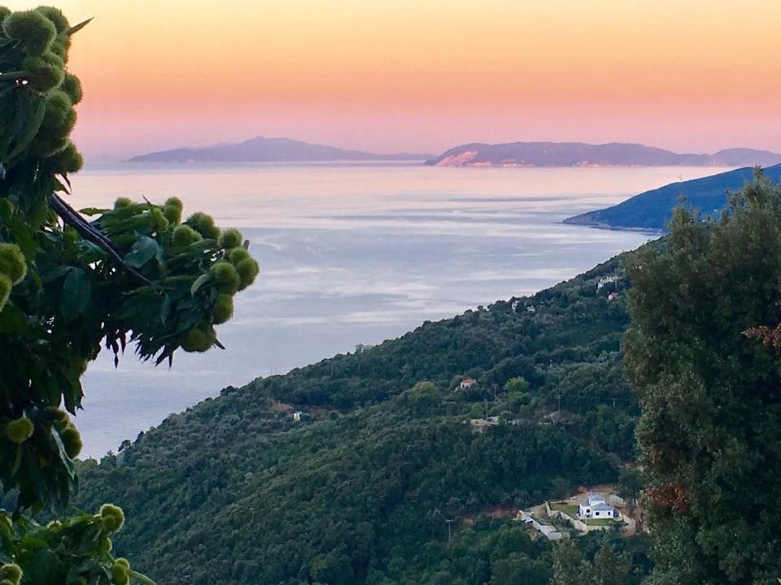 Small Luxury Hotel like an old Traditional house in Pelion with amazing garden and breathteking sea view to the agean. - Photo 28