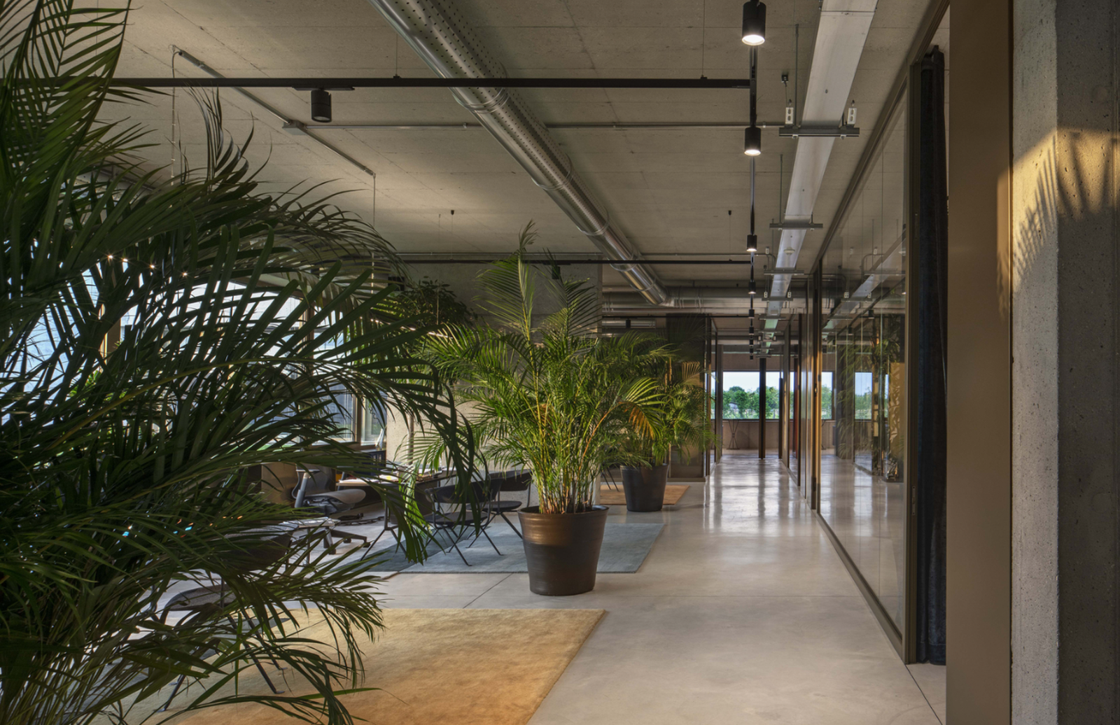 The Orangeale Factory - Photo 11