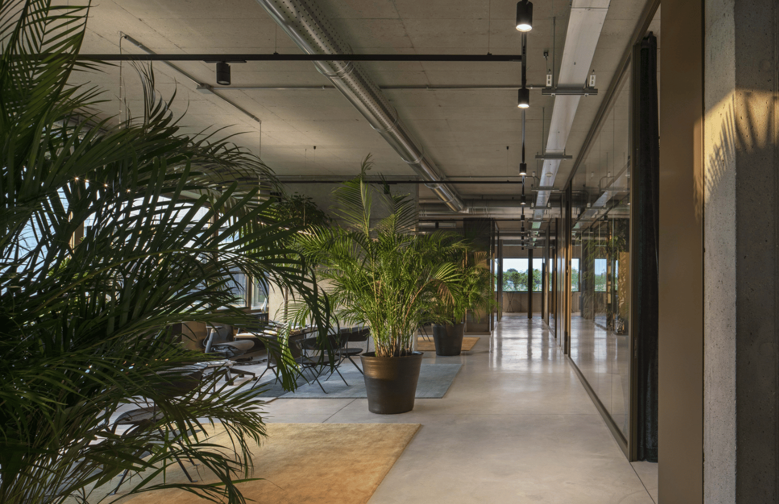 The Orangeale Factory - Photo 11