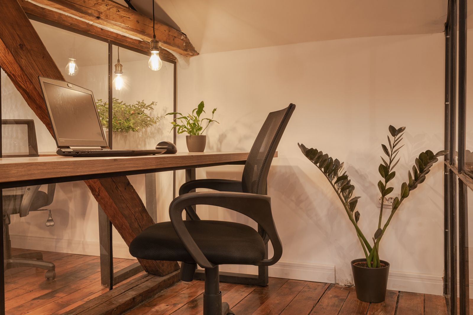 Live-feeling co-working space ready for filming in Sofia - Photo 5