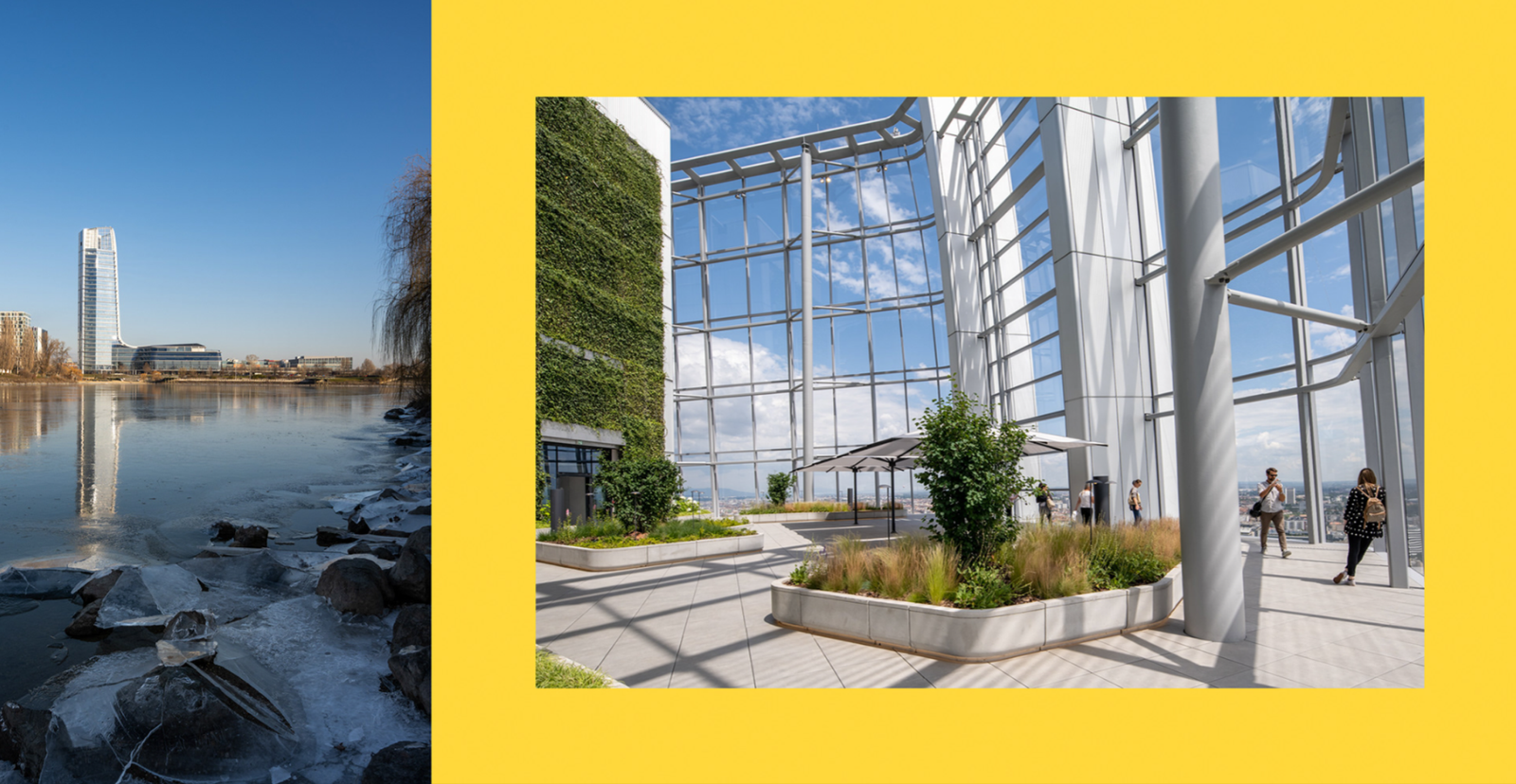 MOL Campus - Photo 4