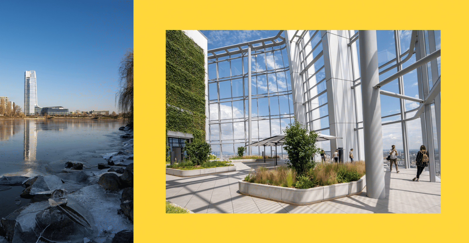 MOL Campus - Photo 4