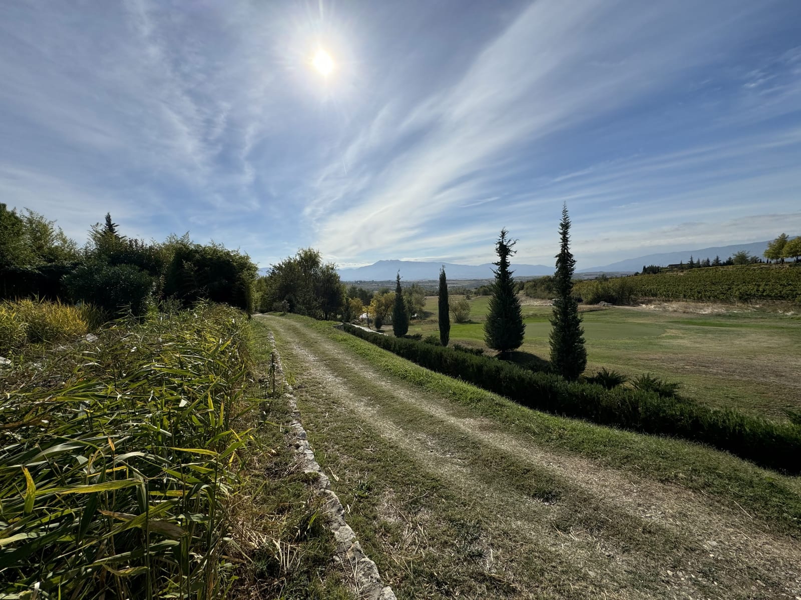 Zornitza Family Estate - Hotel - Photo 52