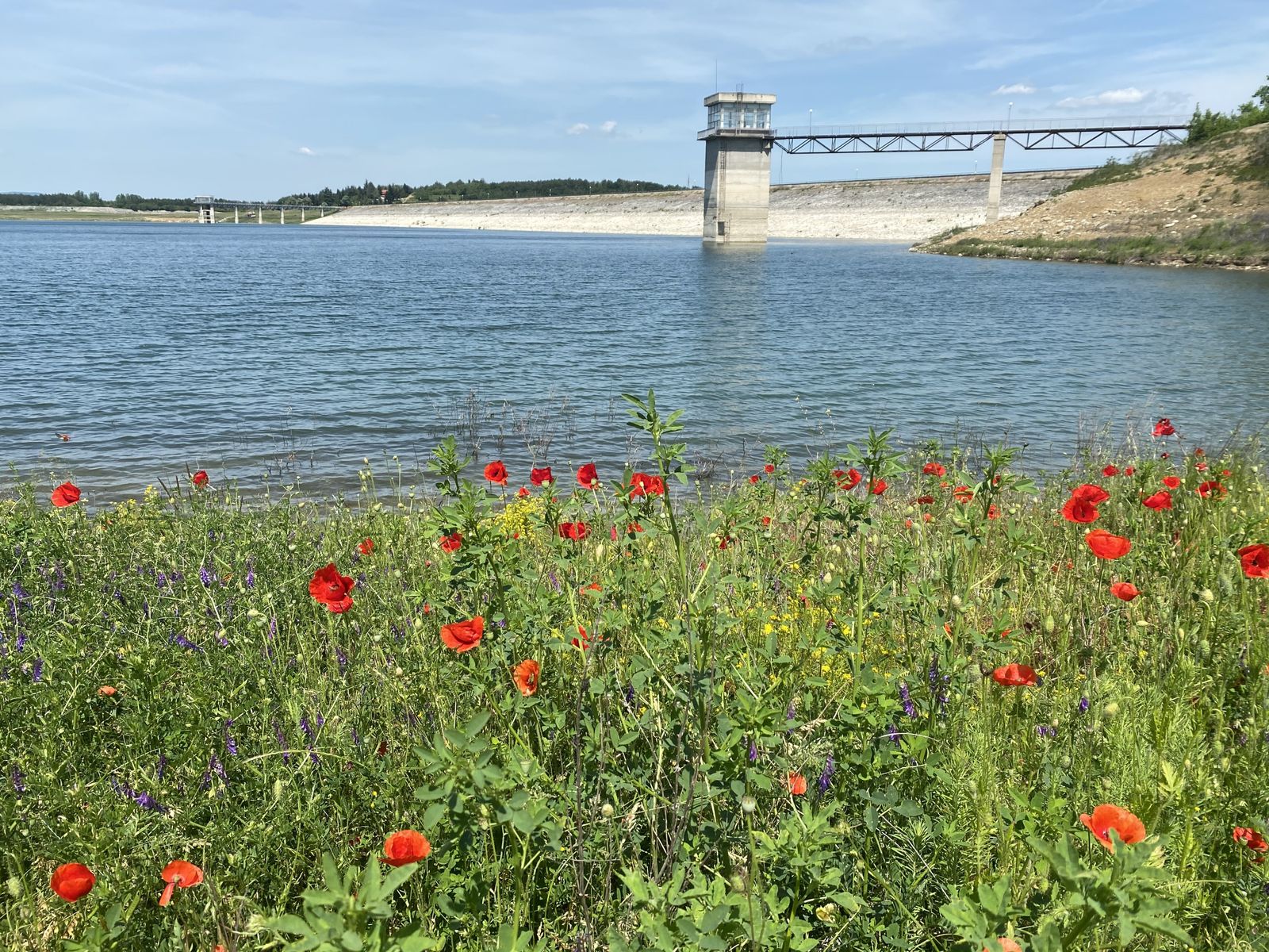 The Happy Caravans - Photo 16