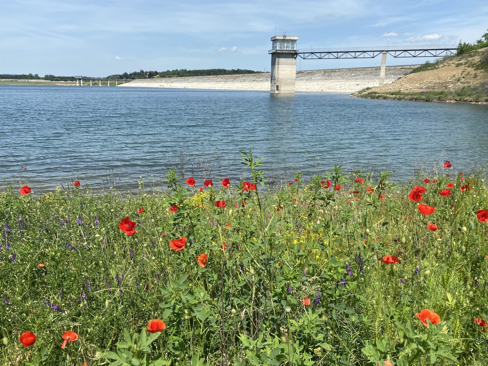 The Happy Caravans - Photo 16