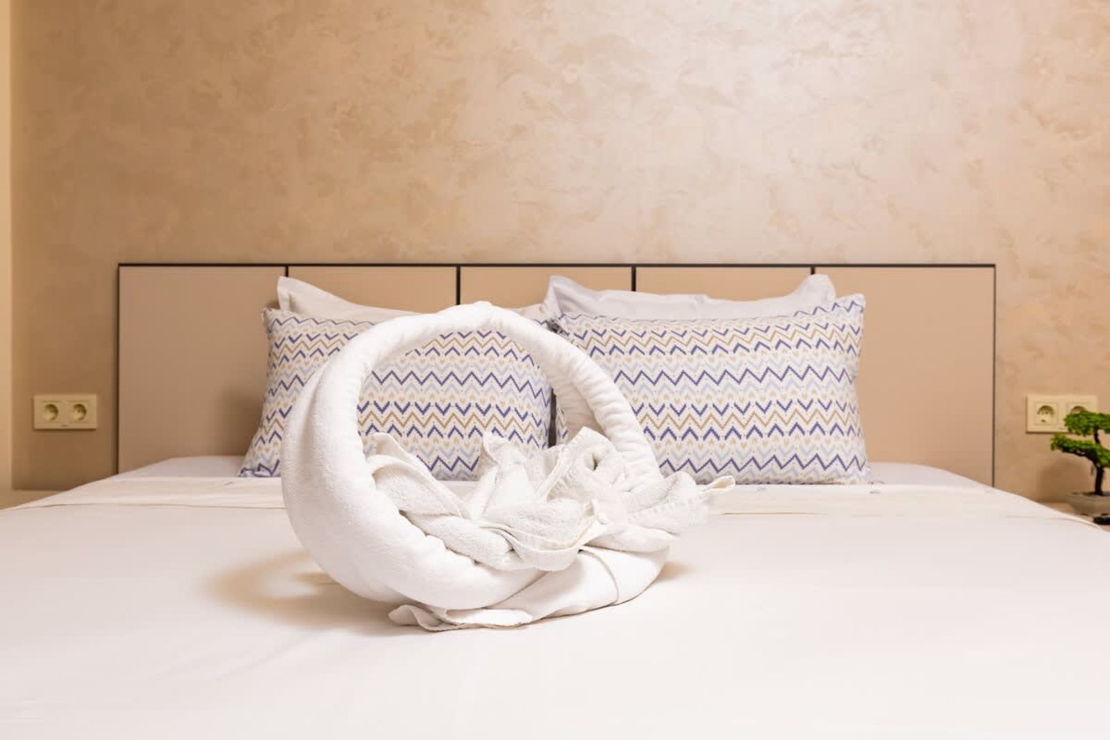 Charming 1-Bedroom Haven near Plovdiv's Old Town - Photo 10