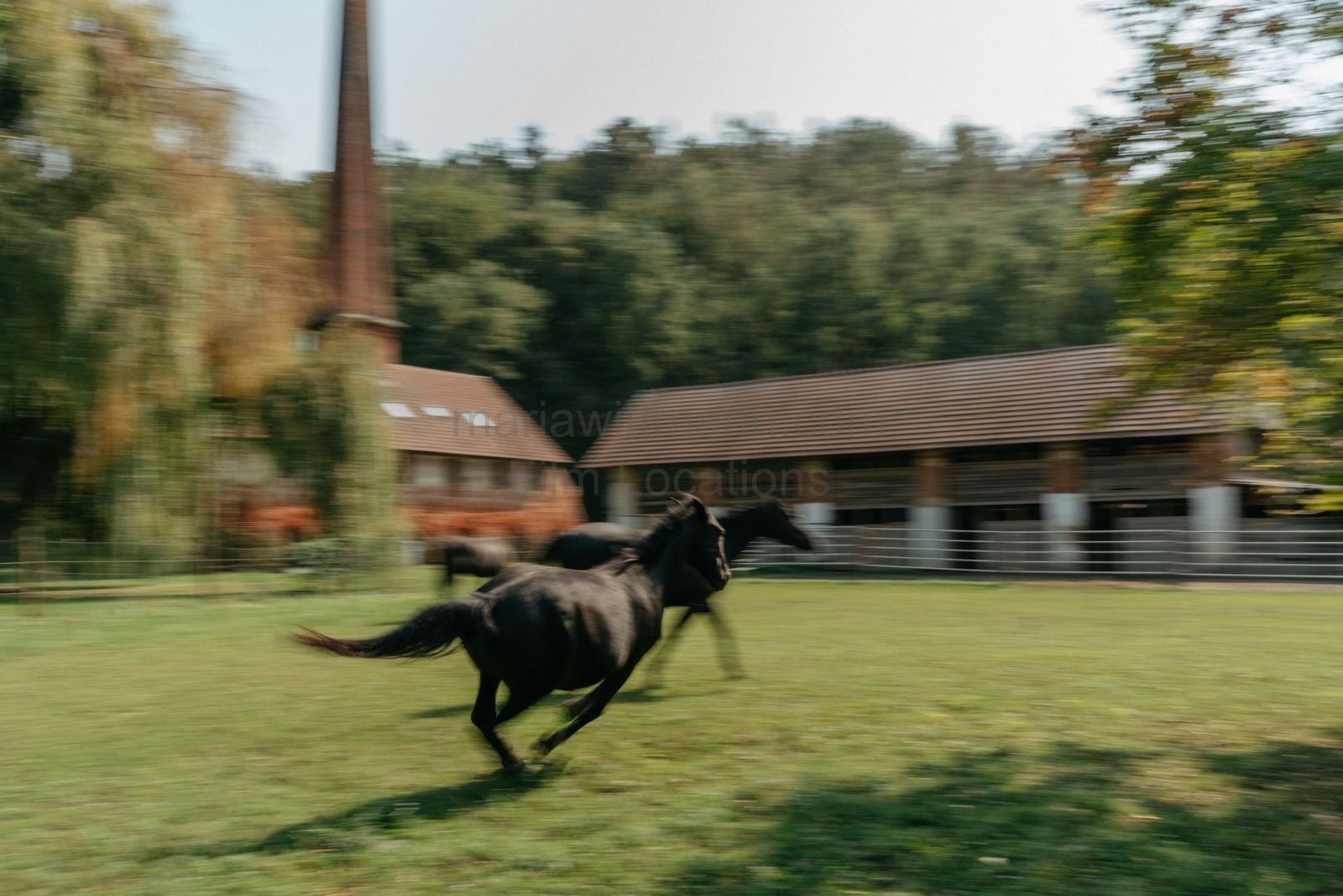 Location 511 - Photo 2