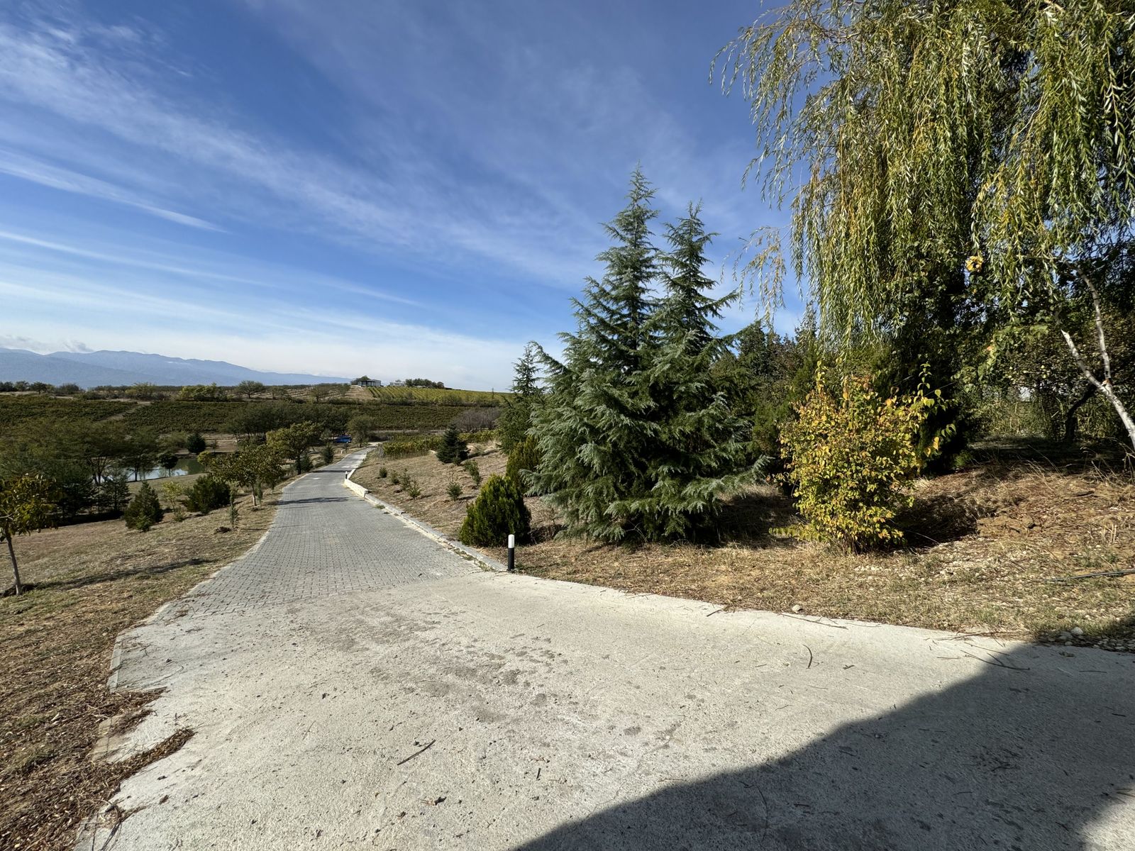 Zornitza Family Estate - Farm - Photo 19