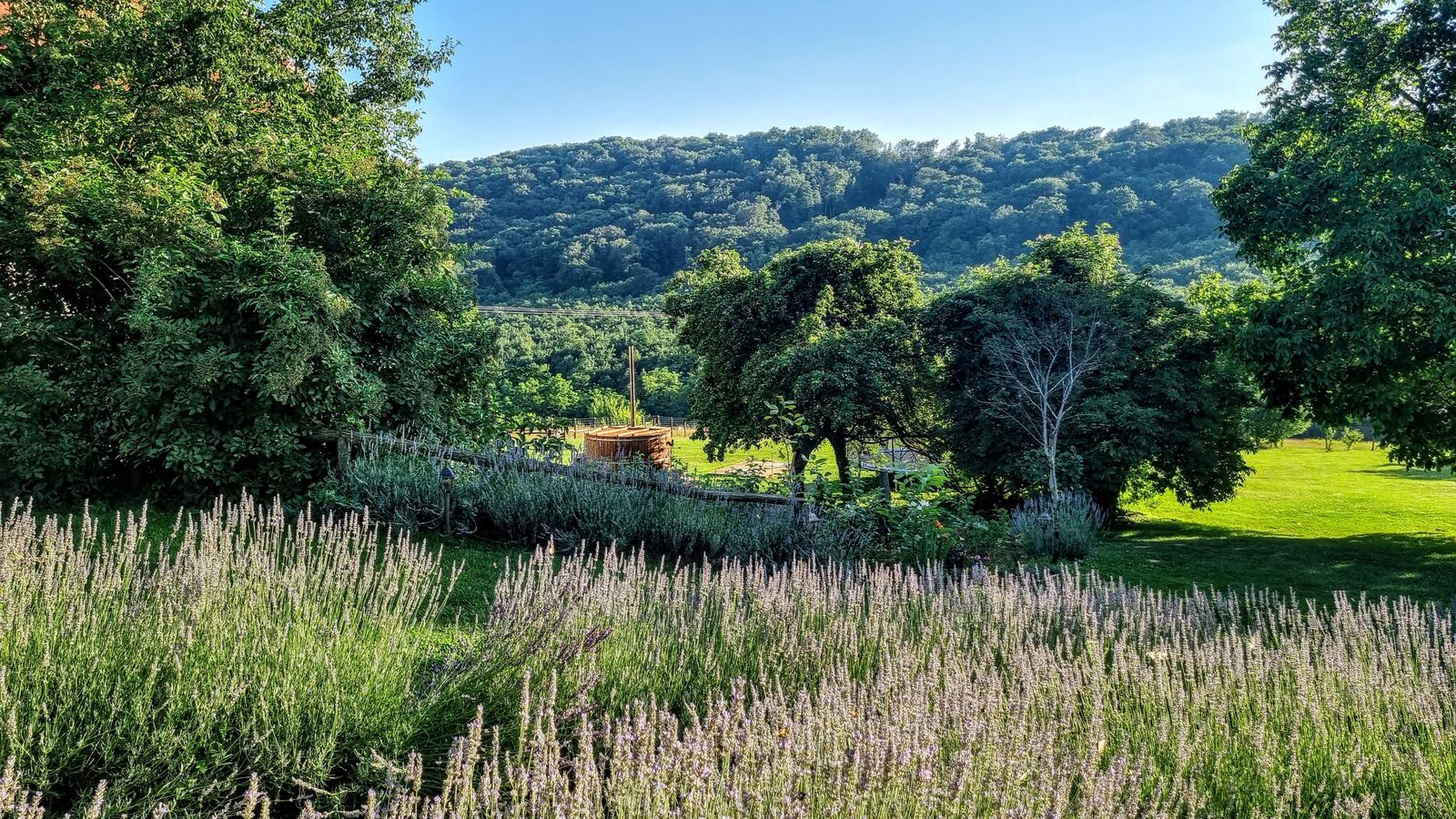 20 hectare traditional ranch - Photo 9