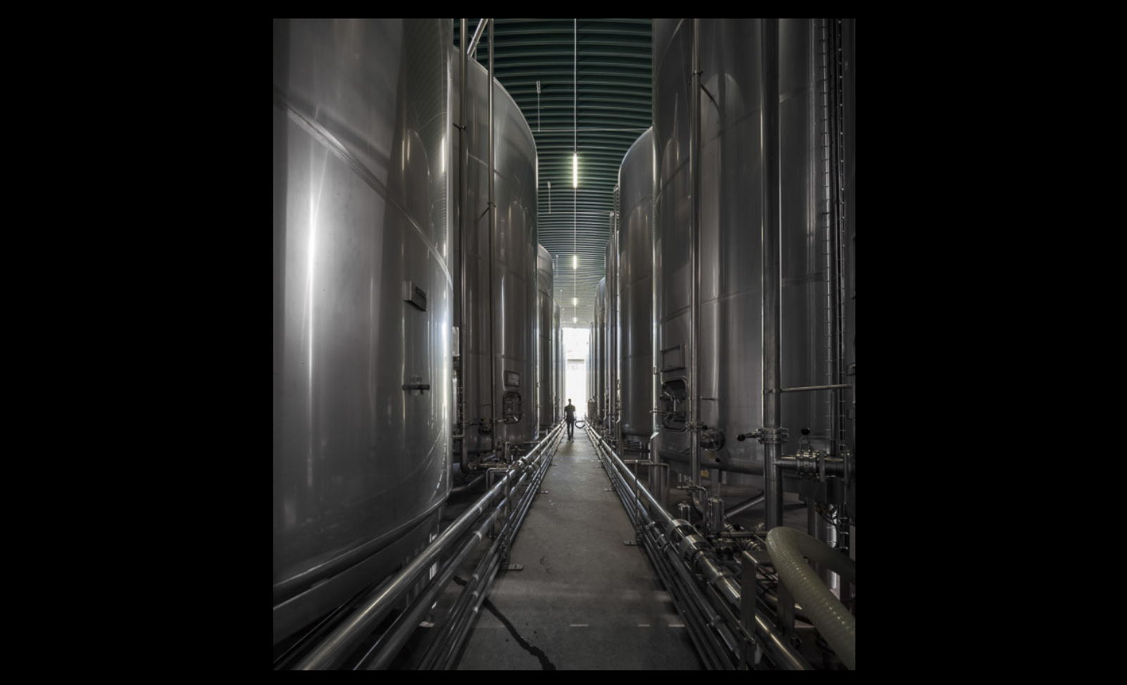 Douro and Porto Winery - Photo 5