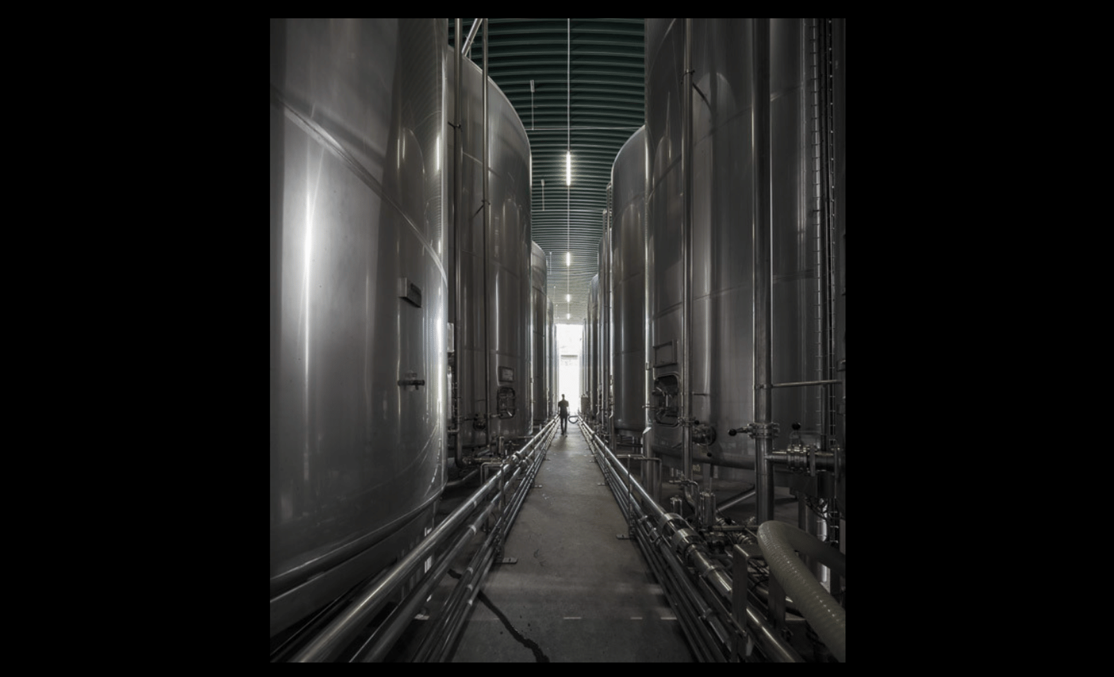 Douro and Porto Winery - Photo 5