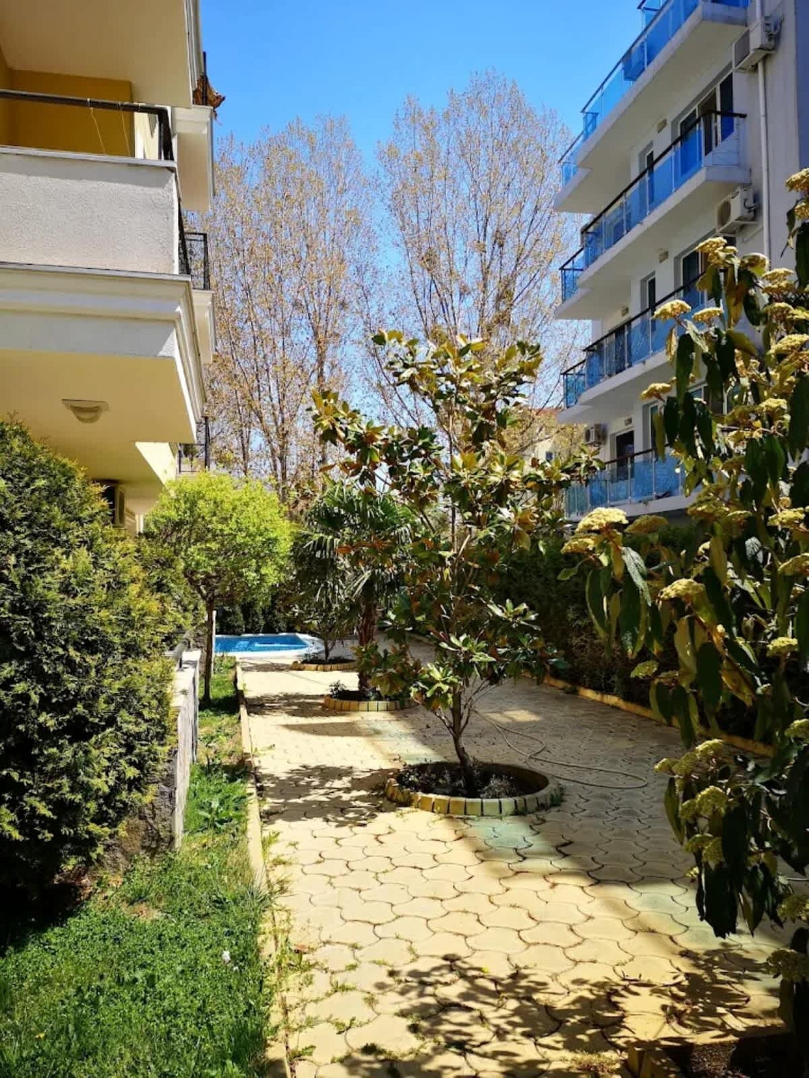 Cozy studio in Magnolia 3 - Photo 11