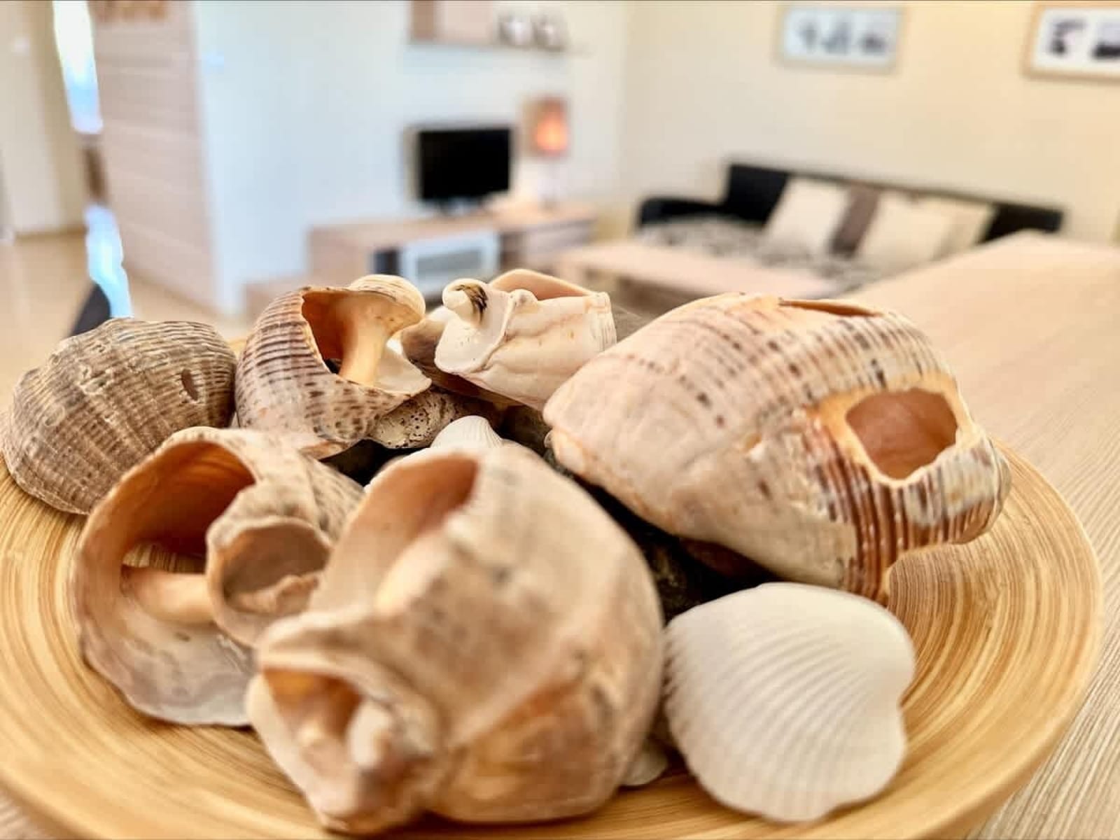 Cozy Aheloy   Marina Cape  Sea view 2 bedroom - Photo 10