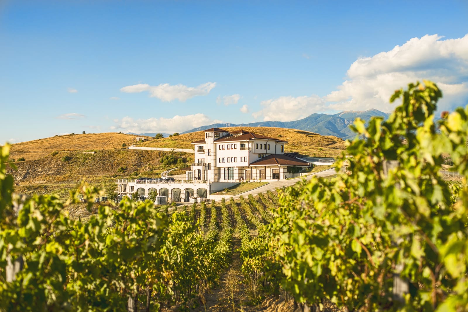 Villa Melnik - Photo 2