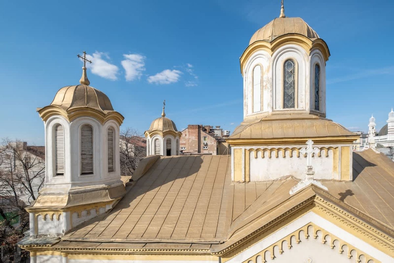 Exceptional City Gem with 1 BDR - Photo 49