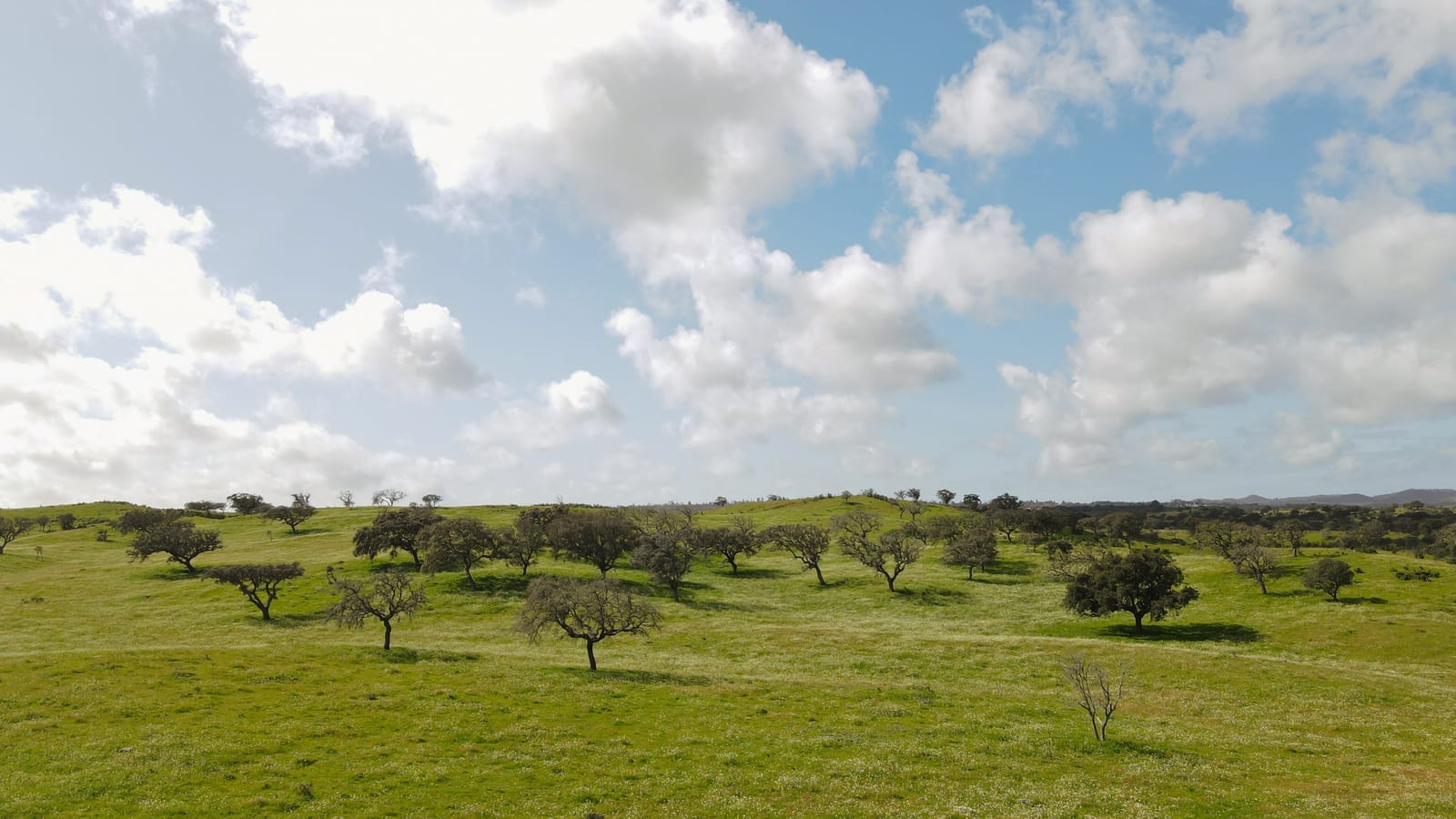 Casa da Volta — Contemporary Walled Villa with Courtyards &amp; Exceptional Natural Light - Photo 12