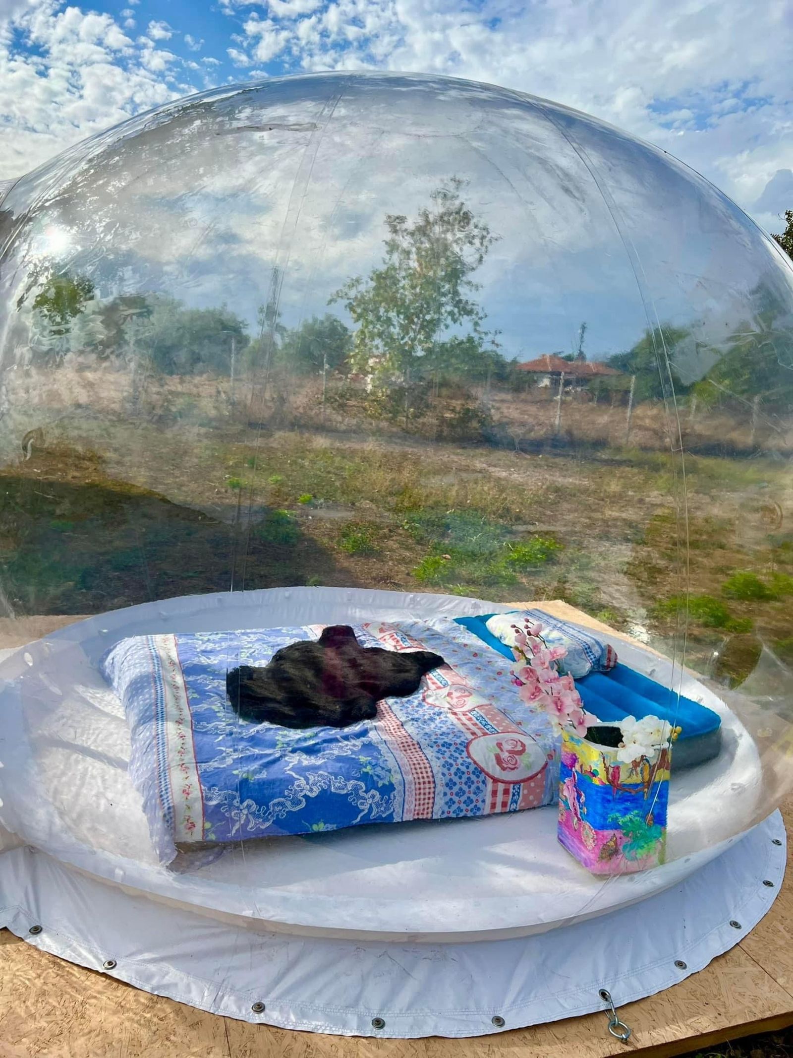 The Happy Caravans - Photo 20