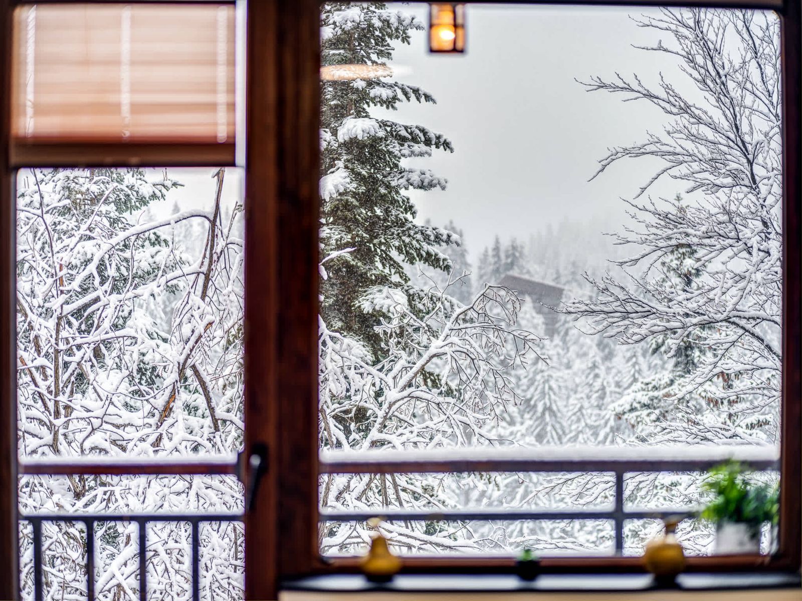 1BD Mountain Getaway in Pamporovo with Parking - Photo 32