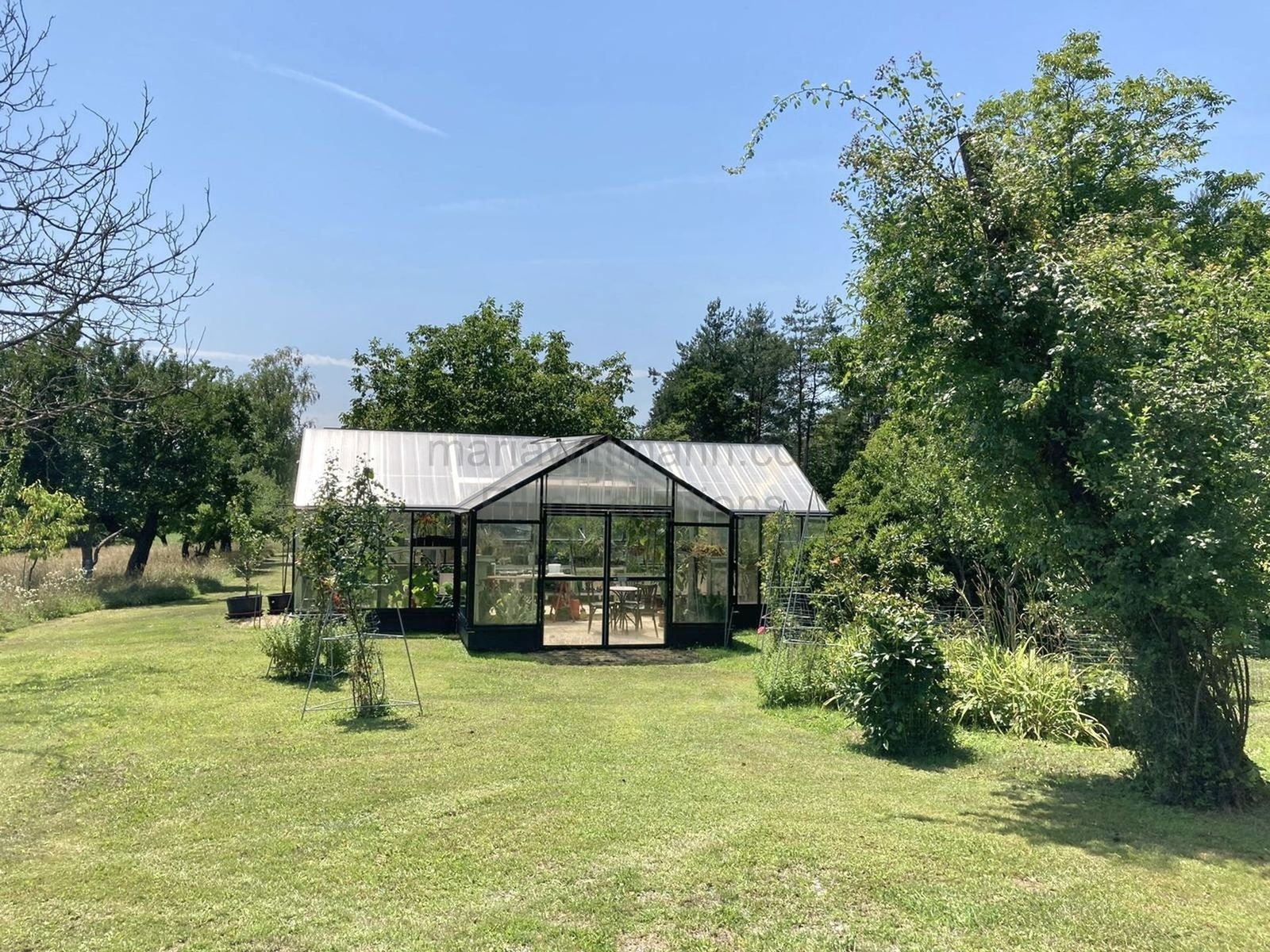 Location 293 - Photo 5