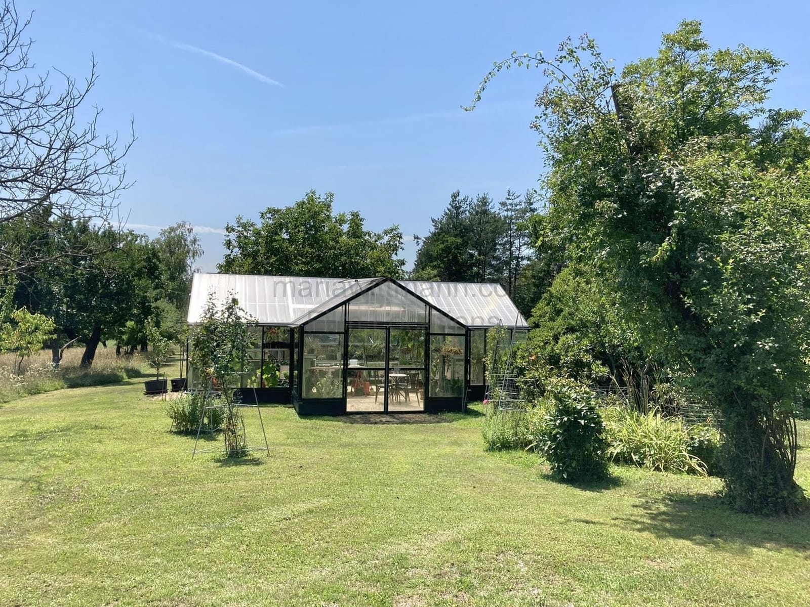 Location 293 - Photo 5