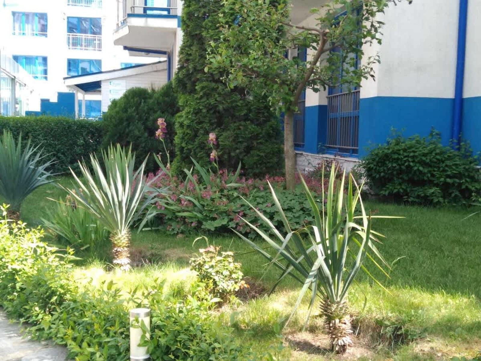 The Blue Studio  In a complex next to the beach - Photo 10