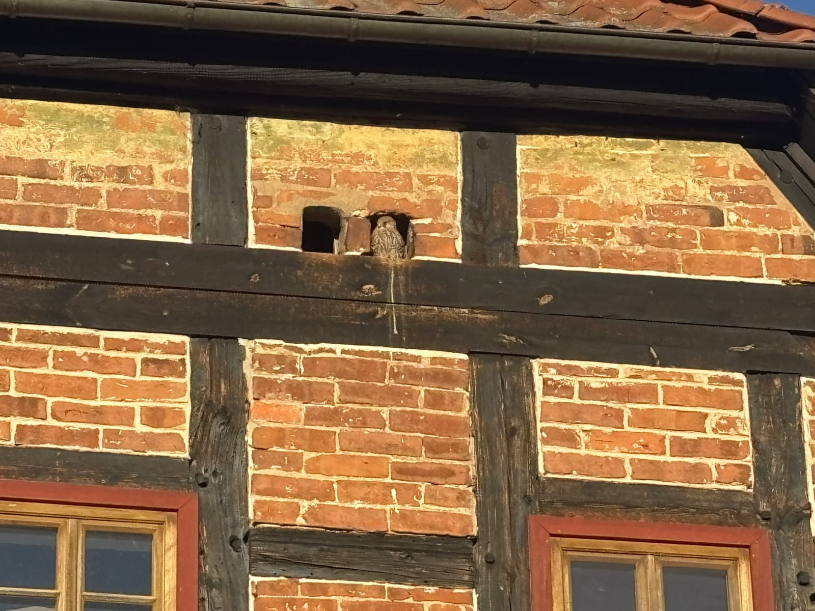 Historic Half-Timbered Farmhouse with Cinematic Garden &amp; Authentic European Atmosphere - Photo 19