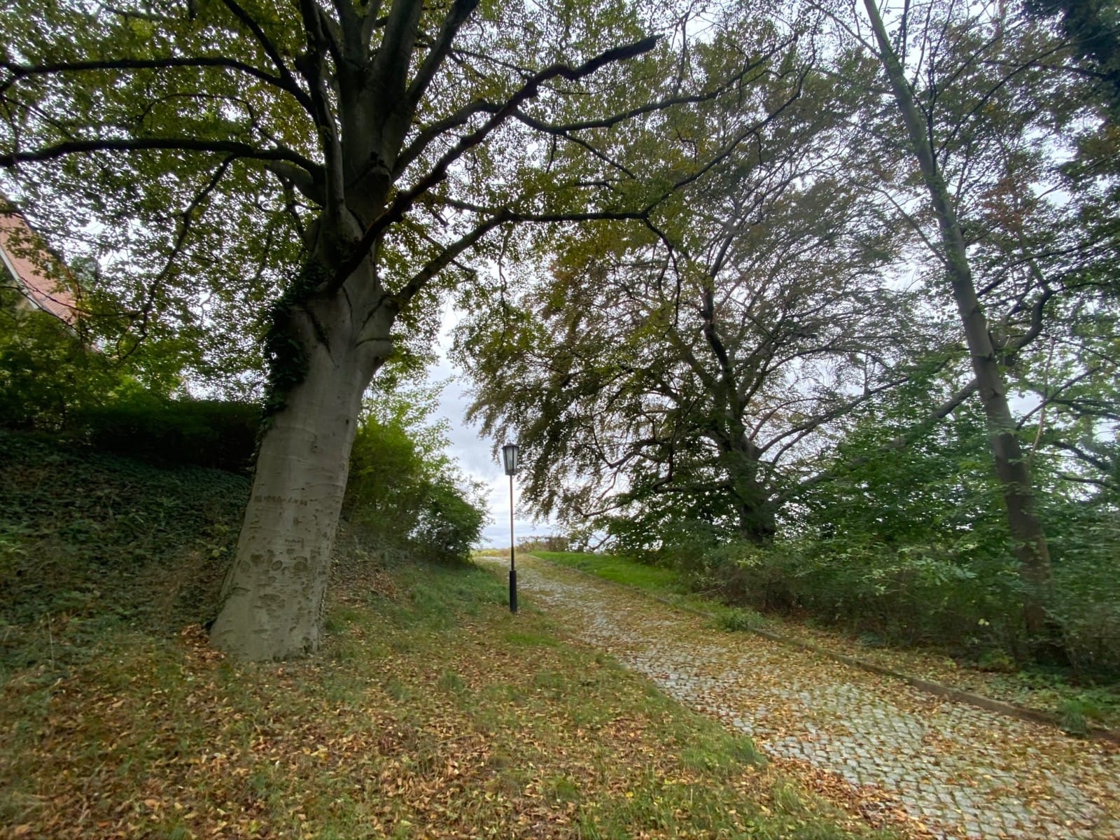 Castle of Burgscheidungen is a baroque secular building_28